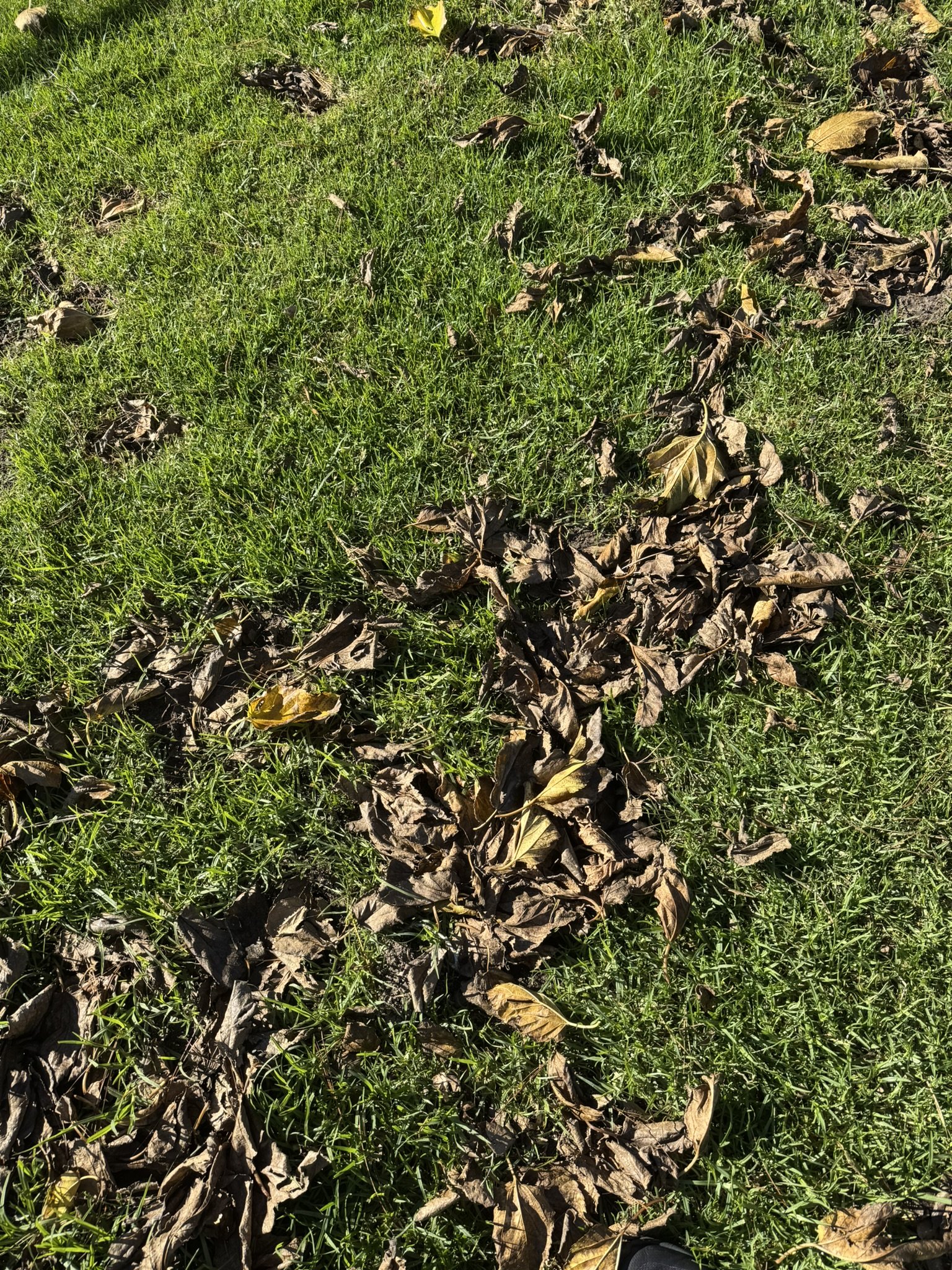 Stay Informed &amp; Protect Your Mental Health