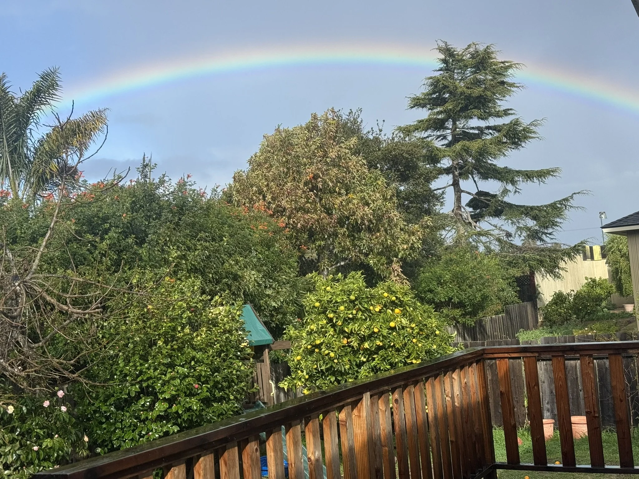 Do You Have Dreams of Being a Writer?