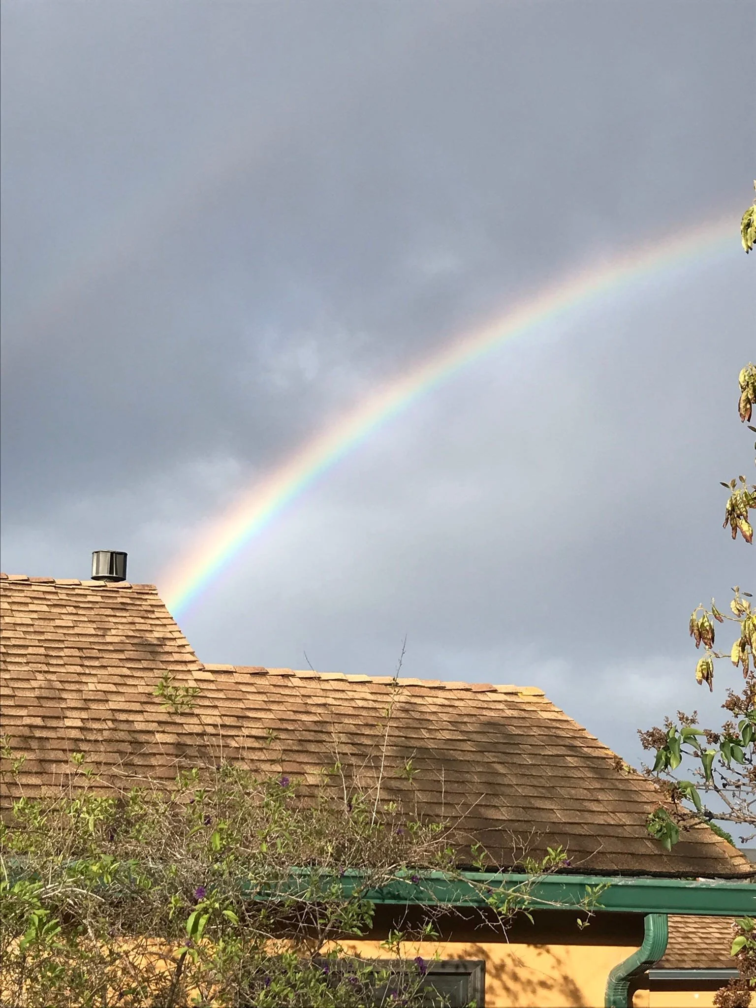 Difference Between Discipline and Control