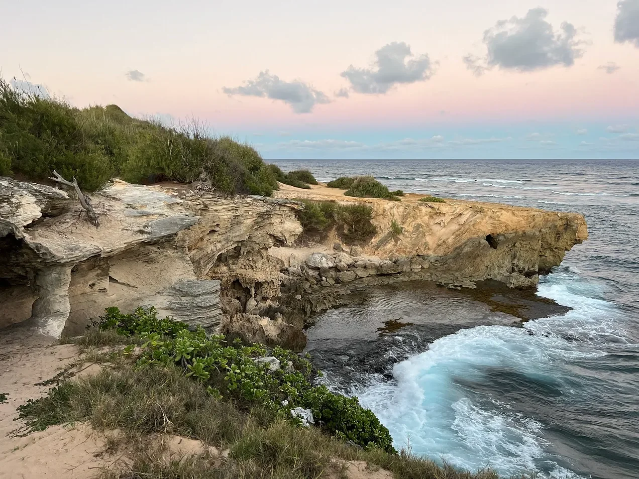 Your Body Knows How to Move