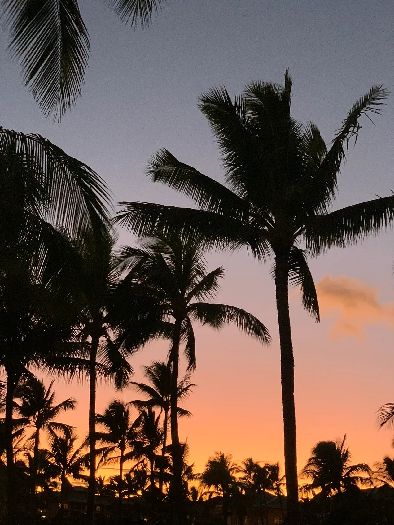 In a Hurry to Slow Down