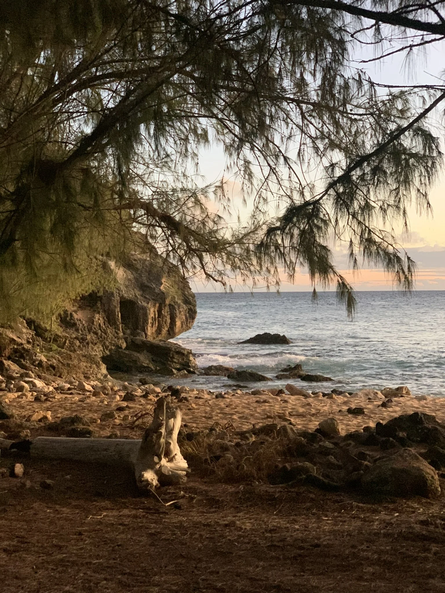 Move Your Body More by Unplugging