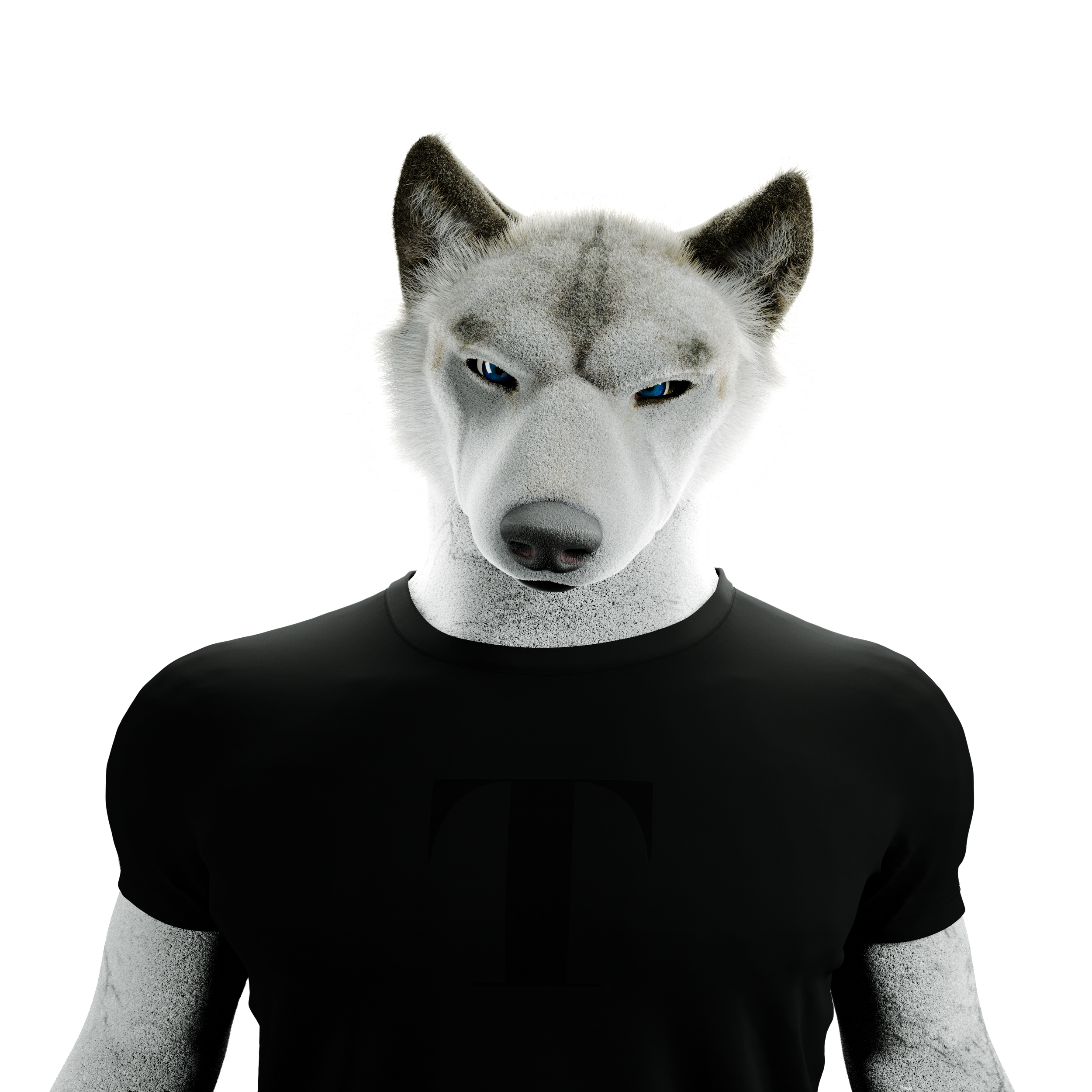 Sean_Transparent_BG.png