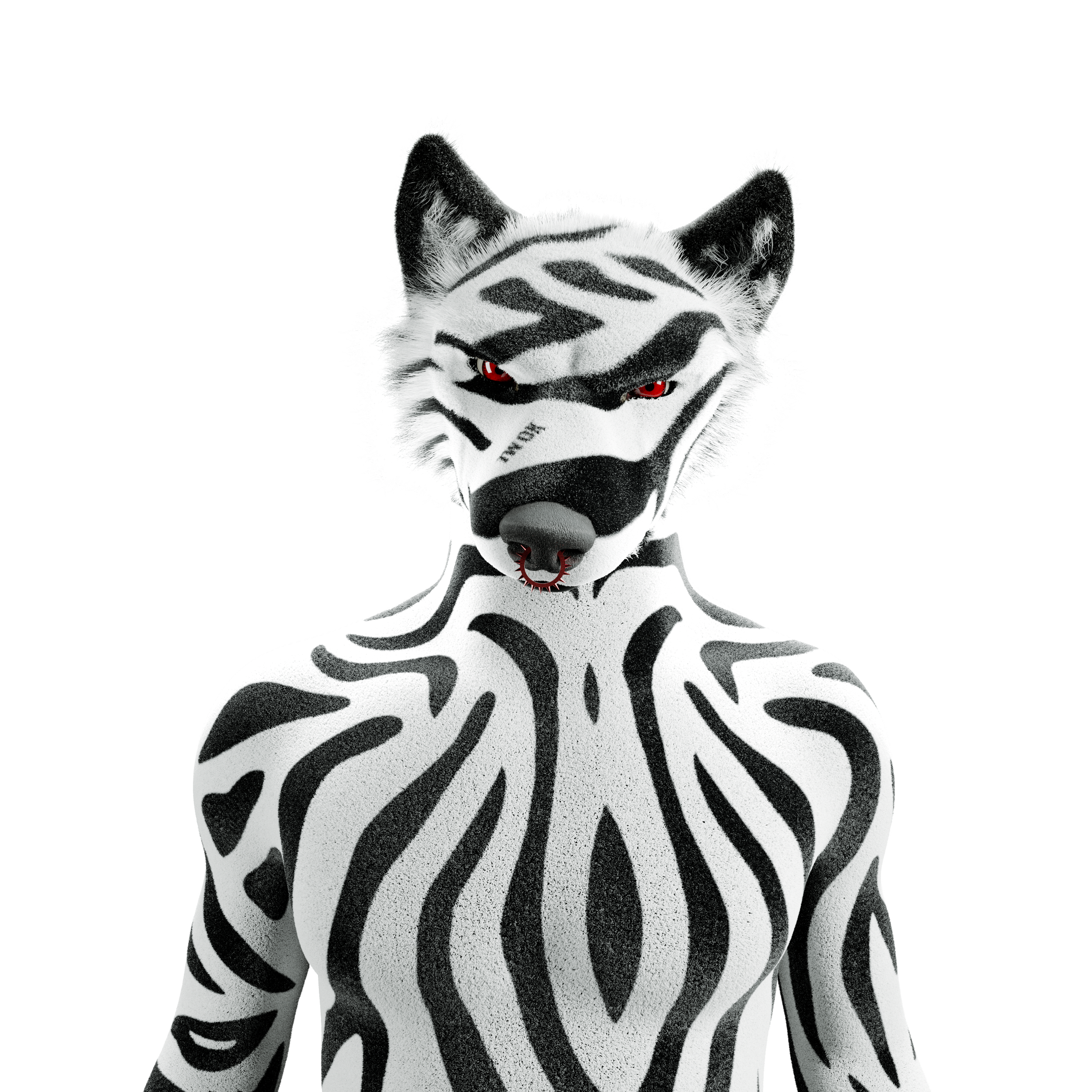Jadze_Transparent_BG.png