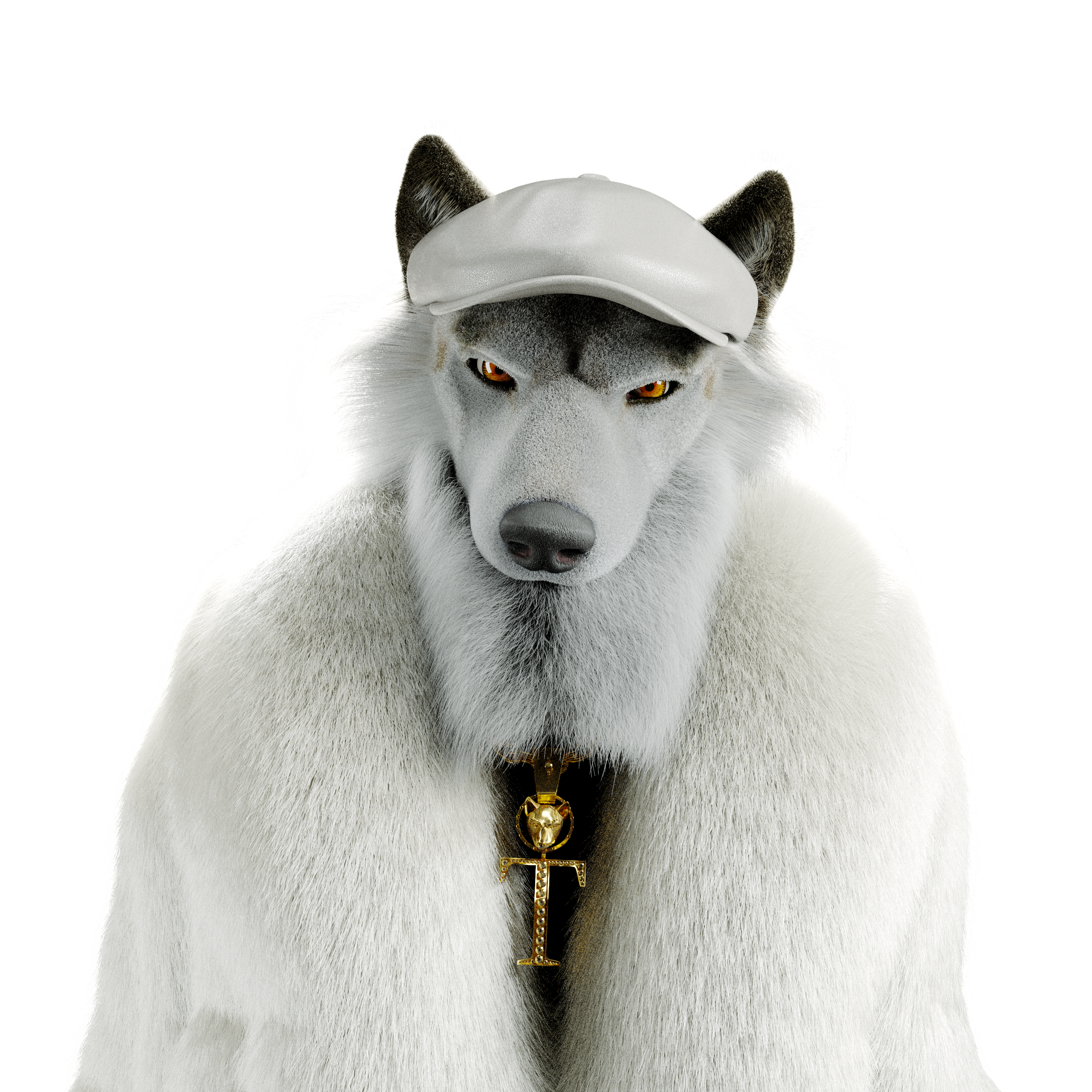 Tani_Transparent_BG.png