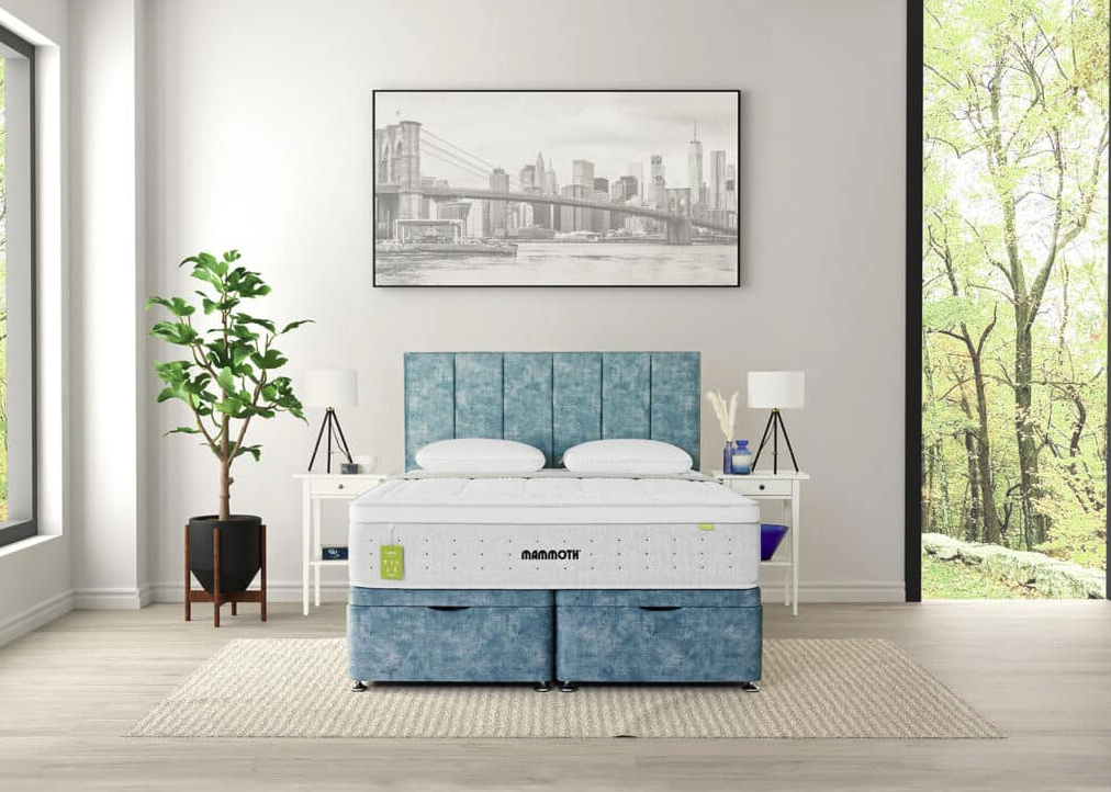 Mammoth Bed and Mattrress