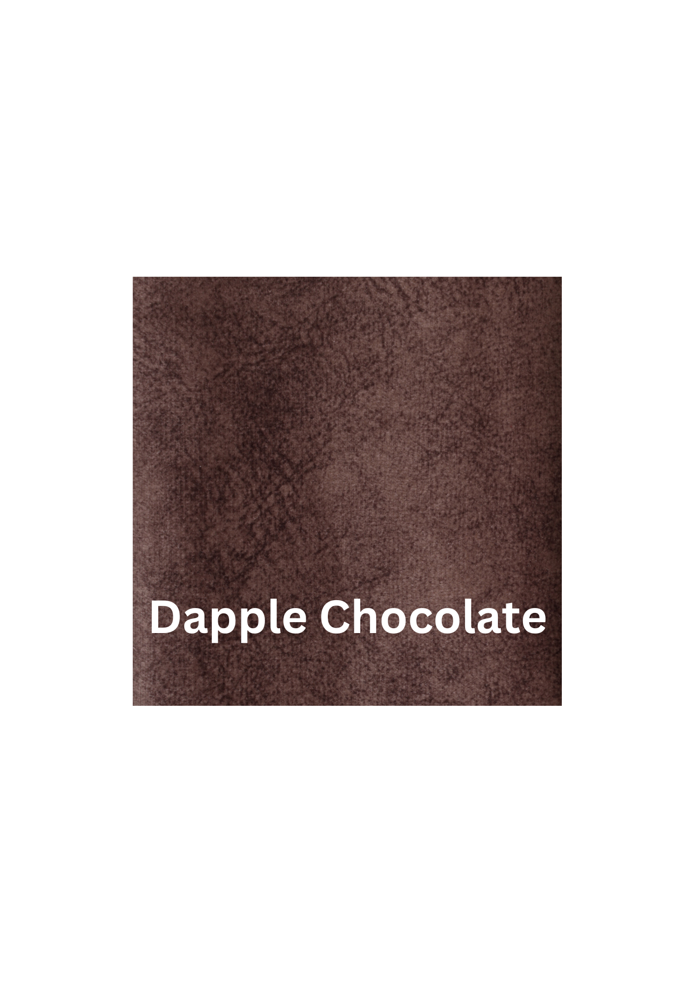 Deluxe Dapple Chocolate.png