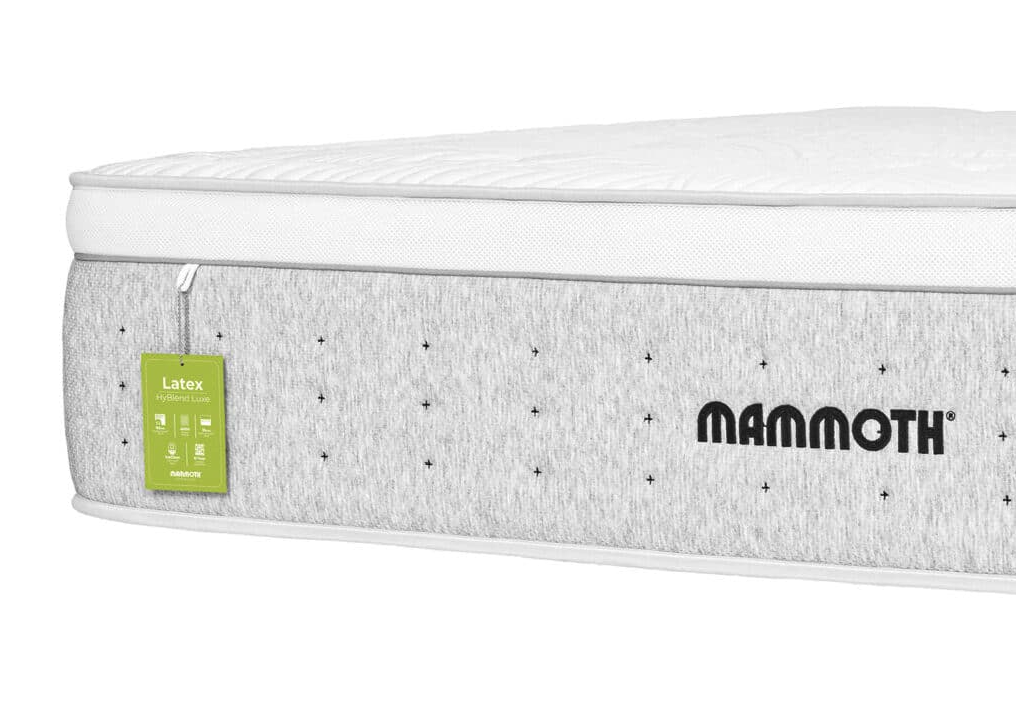 Mammoth Mattress