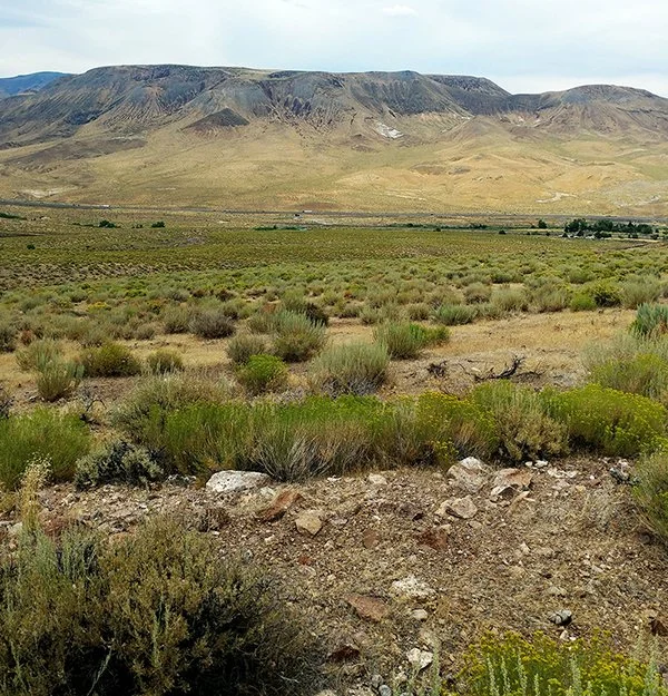 Fernley - Small.jpg