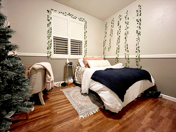 6460 Hale Bopp Ct_27.png