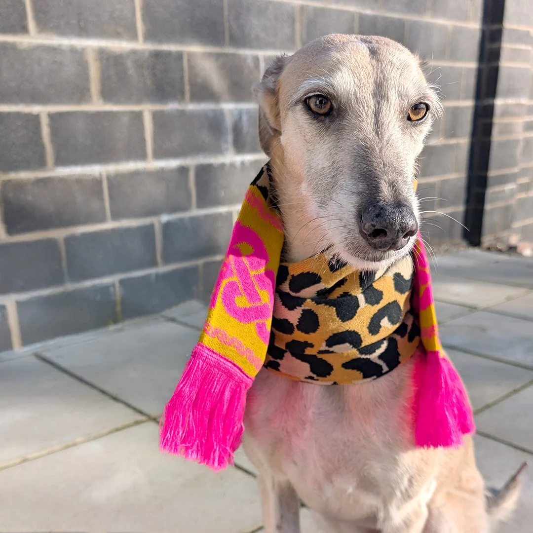 Jasper-wearing-the-leopard-print-scarf.jpg