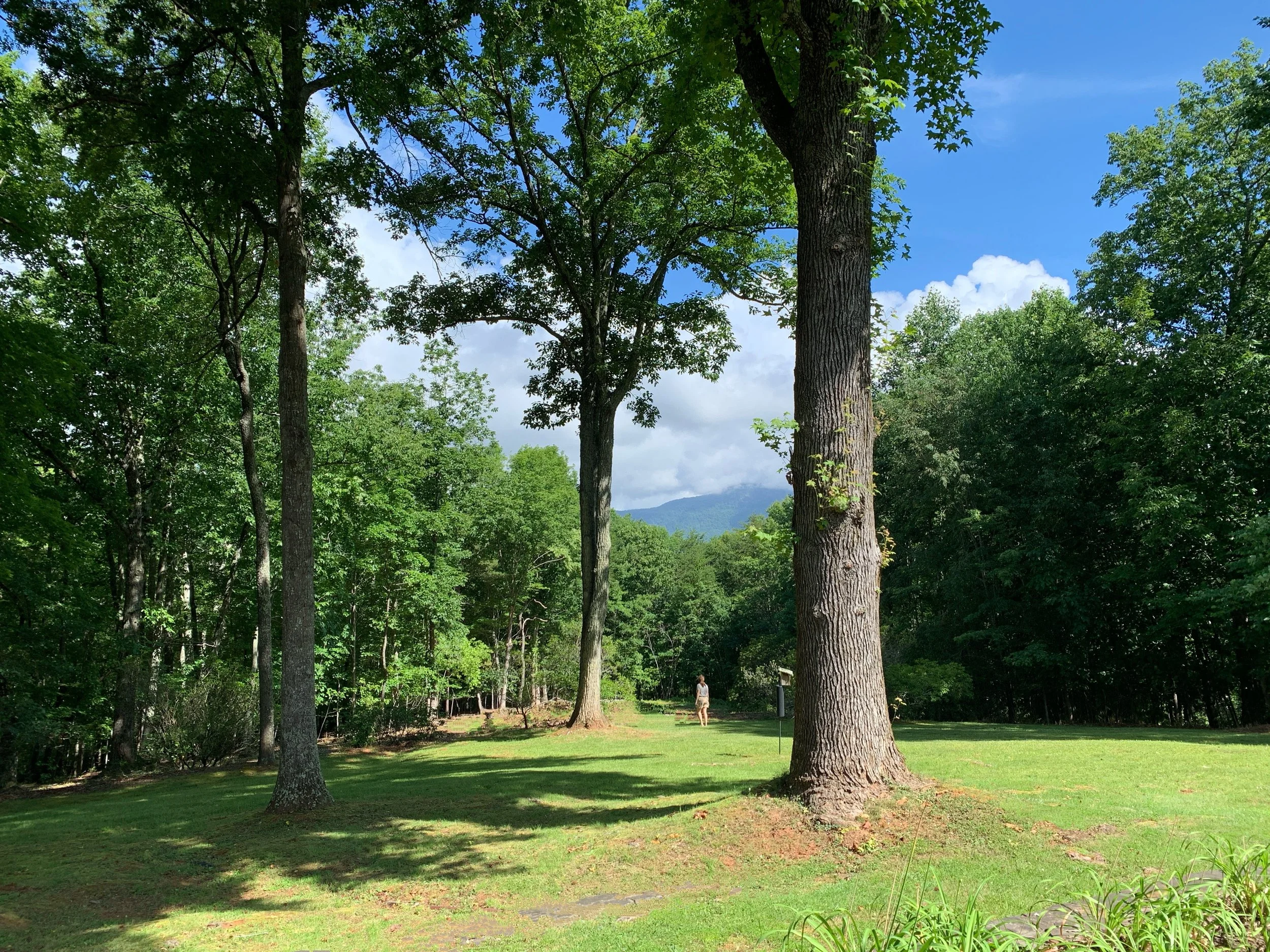 This is Tryon Hunting Country.jpg