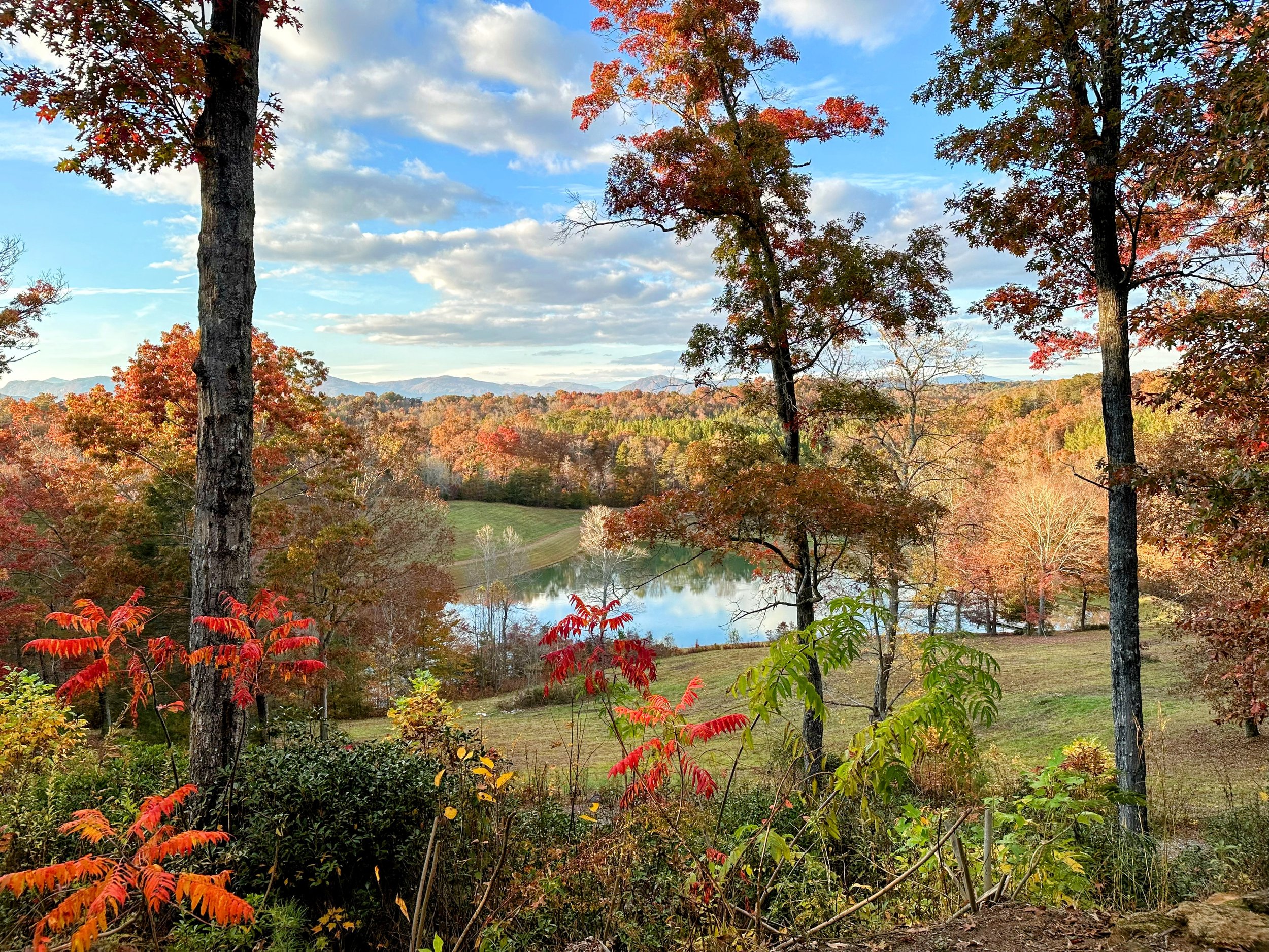 Mill Spring Private Estate.jpg