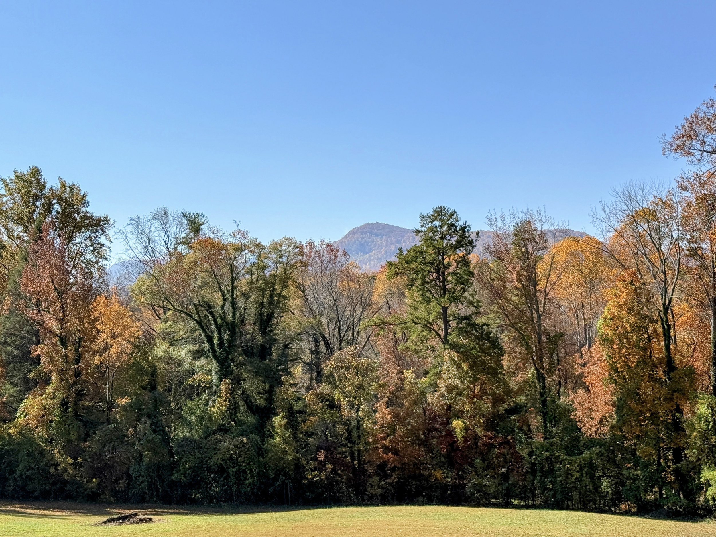 7-IMG_1389.jpg