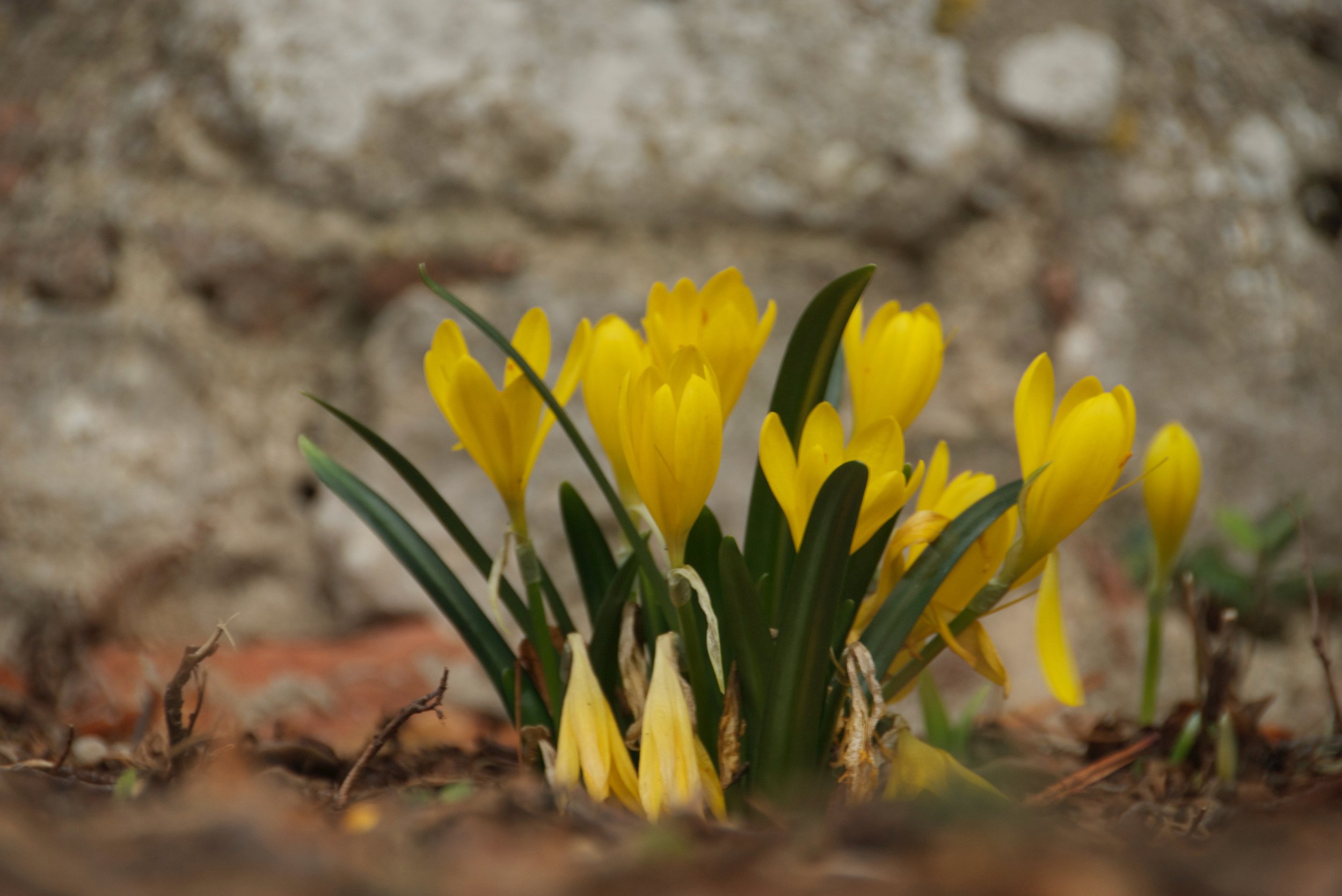 From Fallback to Spring Forward: Bringing our better selves in times of complexity