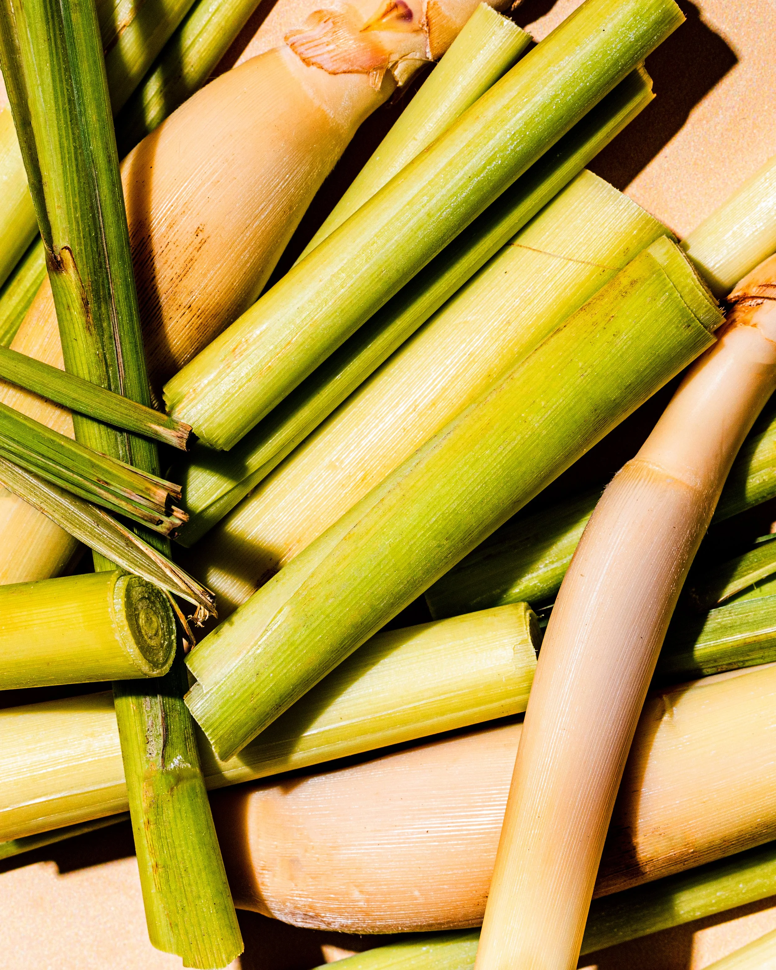 Macro_Lemongrass-02.jpg