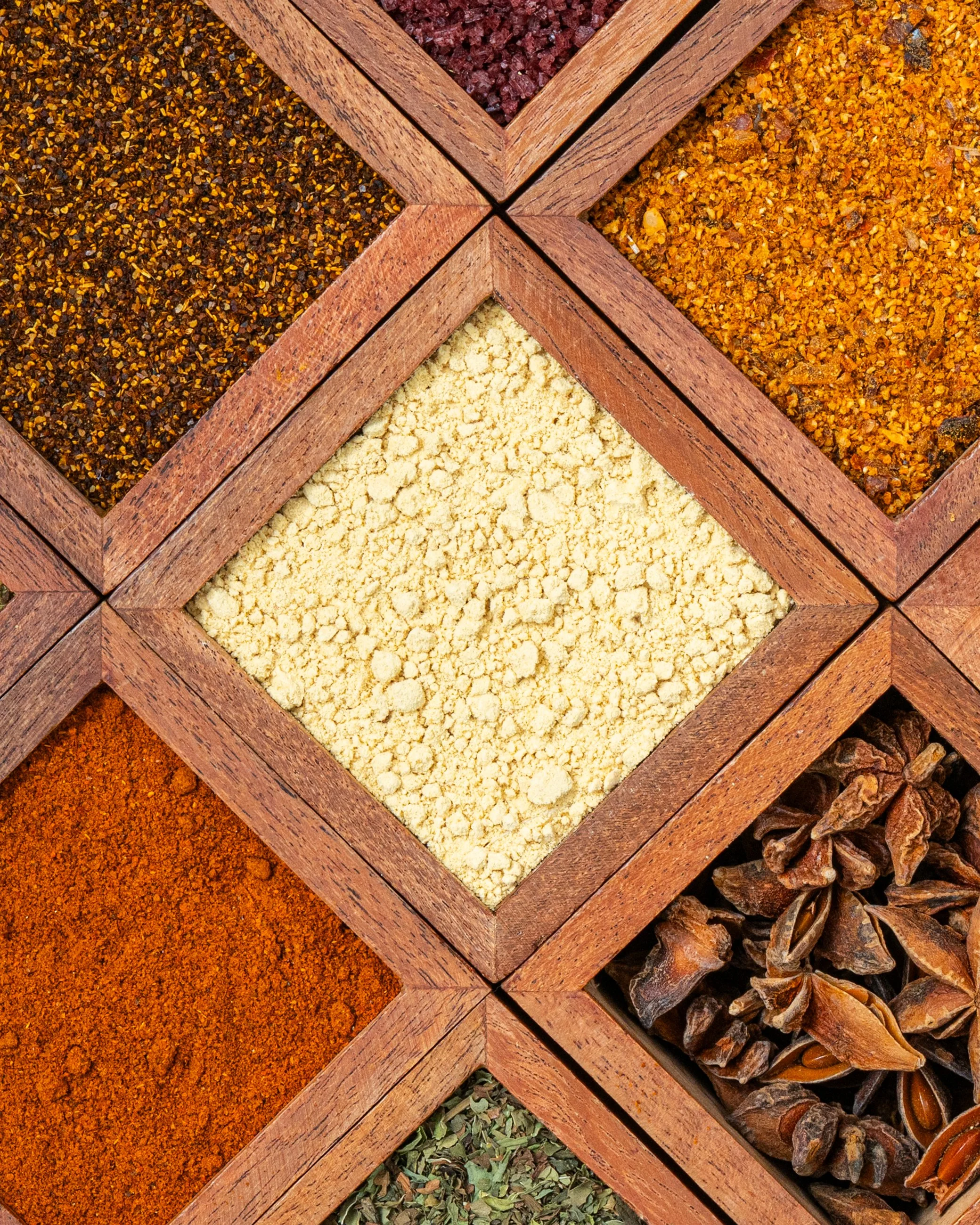 Anne Wolf Branding Shoot_090825-621.jpg