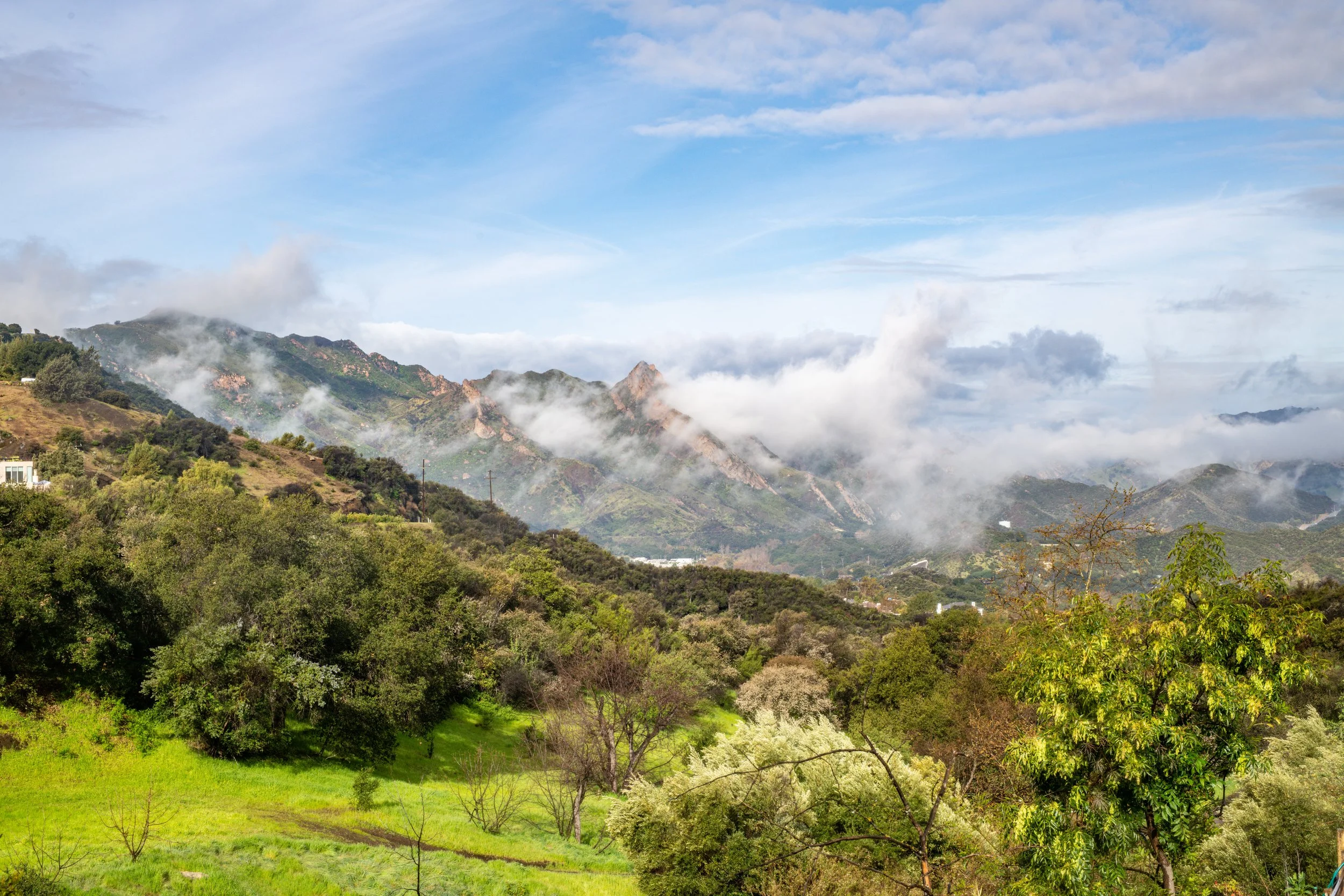 Scenic view of lush green hills with trees and tall grasses, rolling towards fog-covered mountains under a partly cloudy sky.