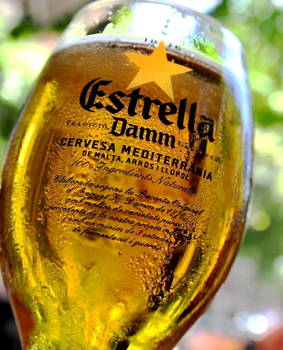 estrella DAMN photo 2 first project.JPG