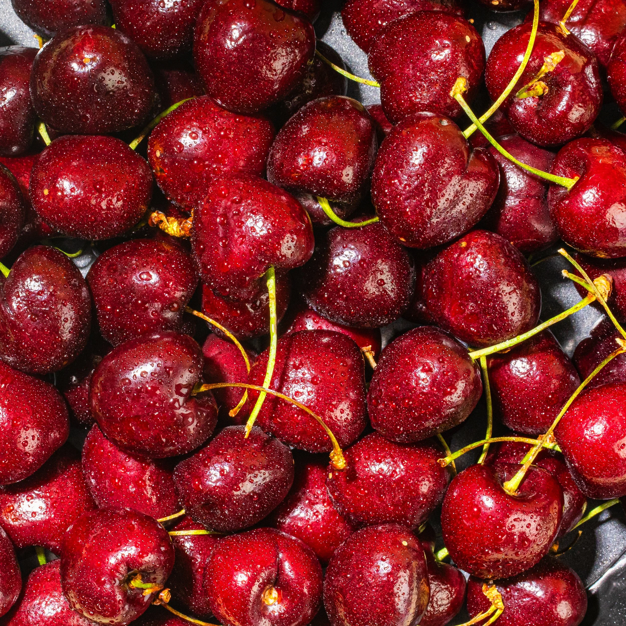 Macro_Cherry-03.jpg