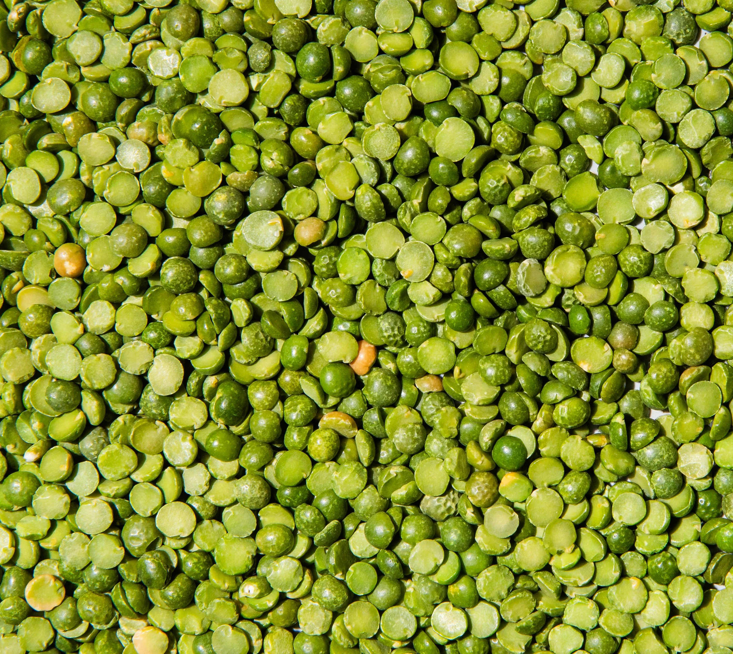 Macro_GreenSPlitPeas.jpg