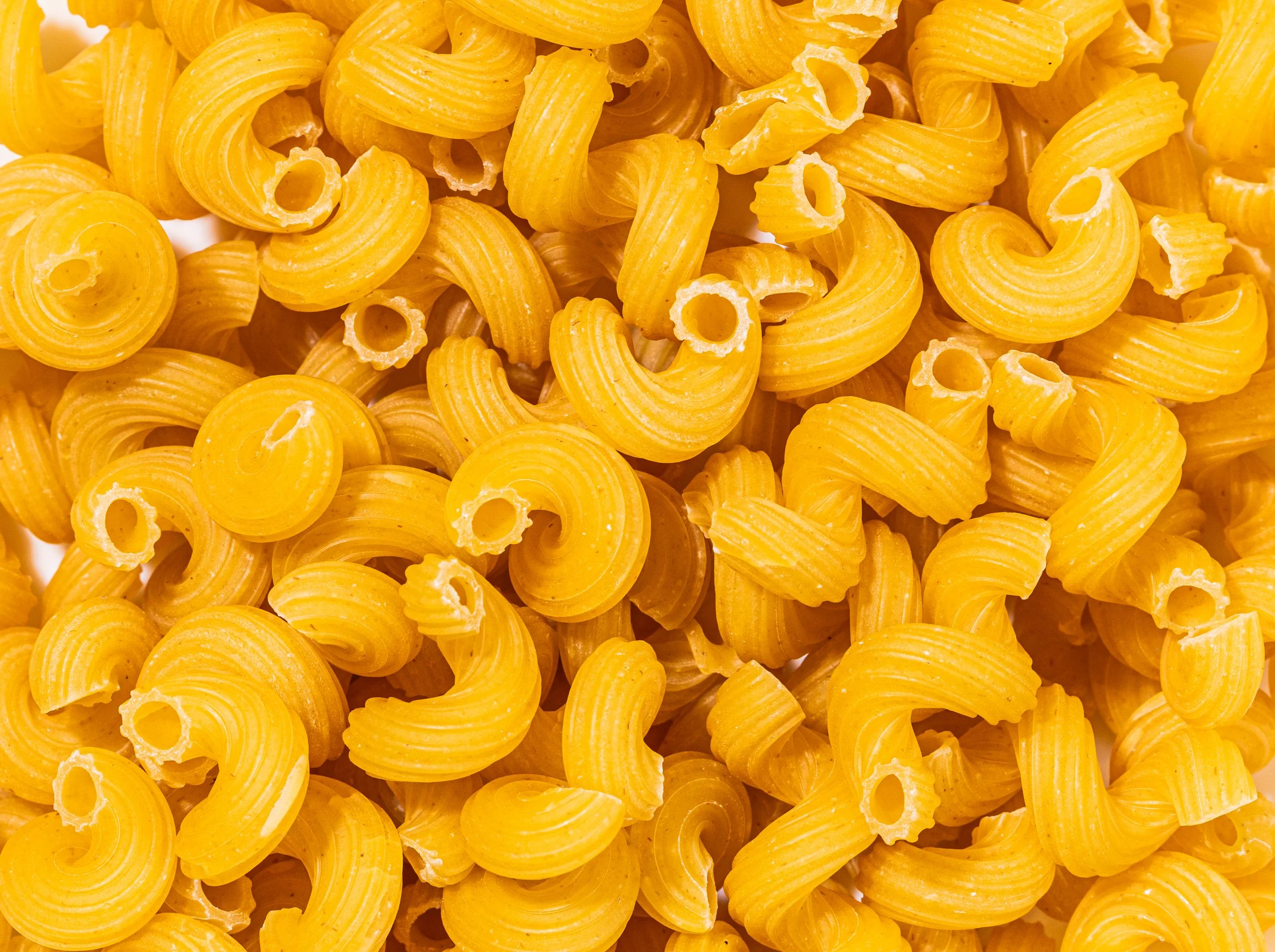 MACRO_CAVATAPPI.jpg
