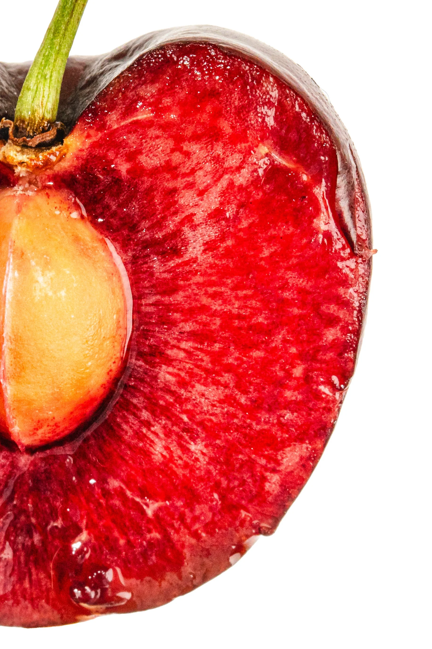 Macro_Cherry-06.jpg