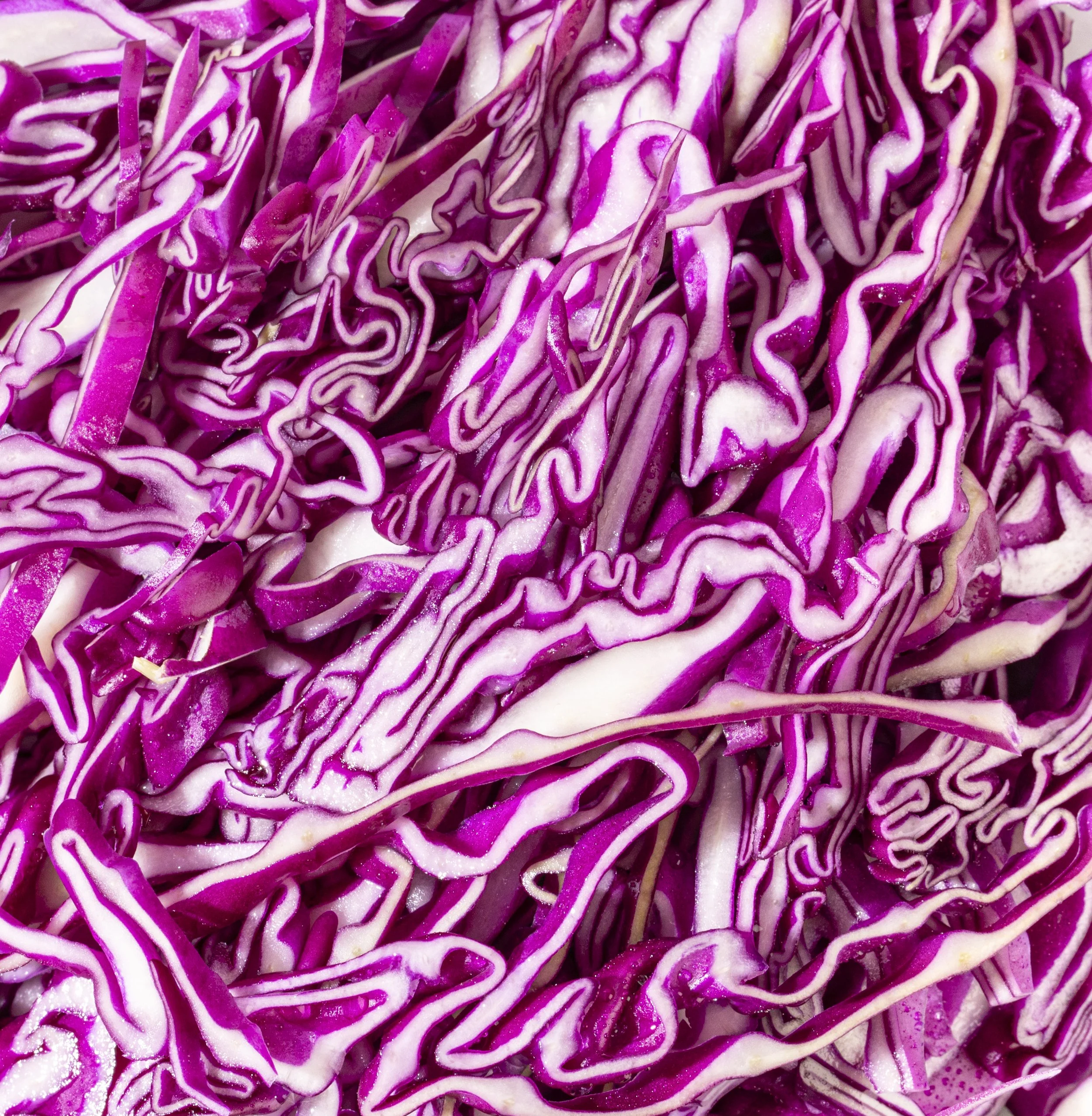 Red Cabbage_Macro_033125.jpg
