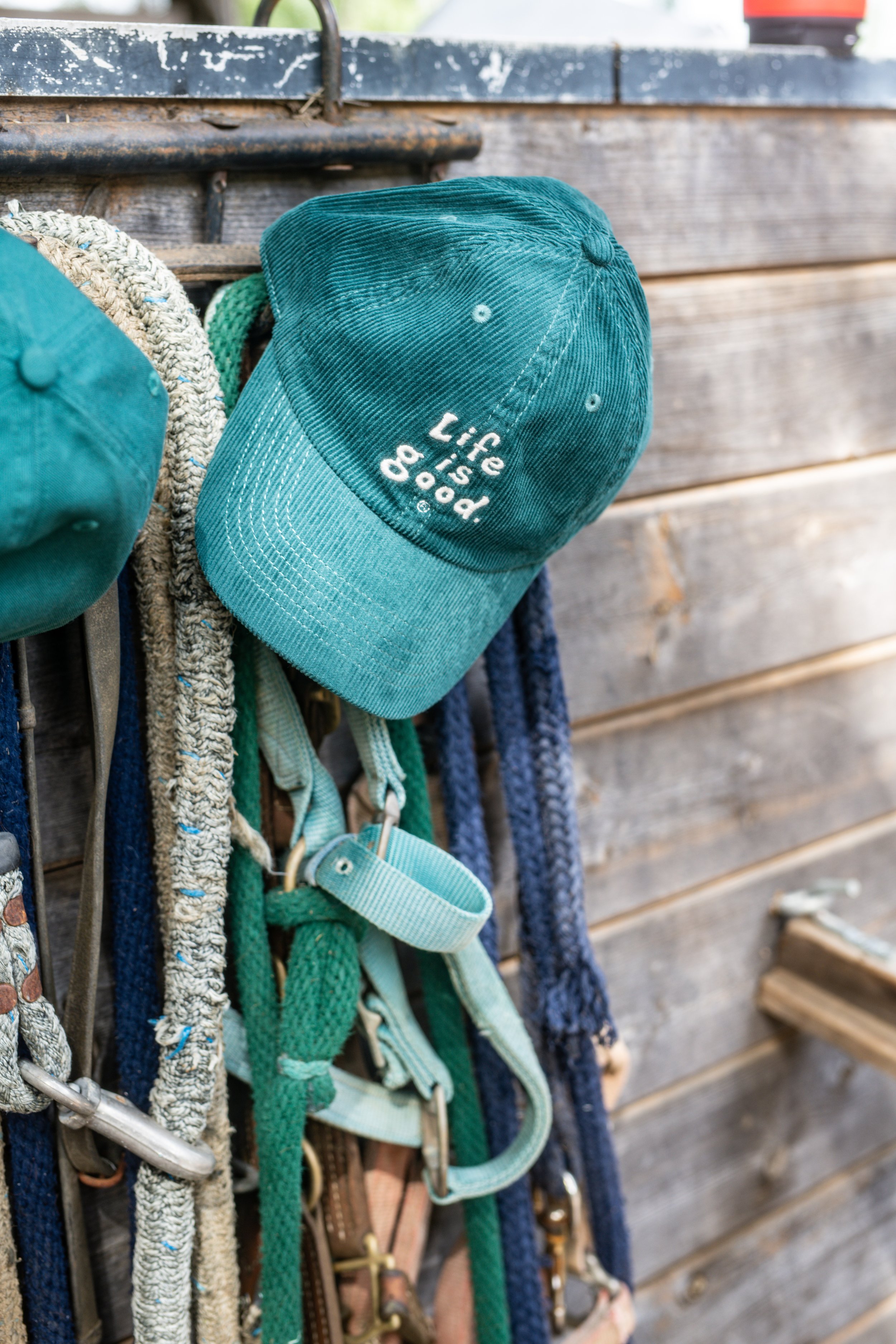 A teal baseball cap with the words 'Life is good' embroidered on it hangs on a hook, surrounded by various dog leashes and collars, against a weathered wooden wall.