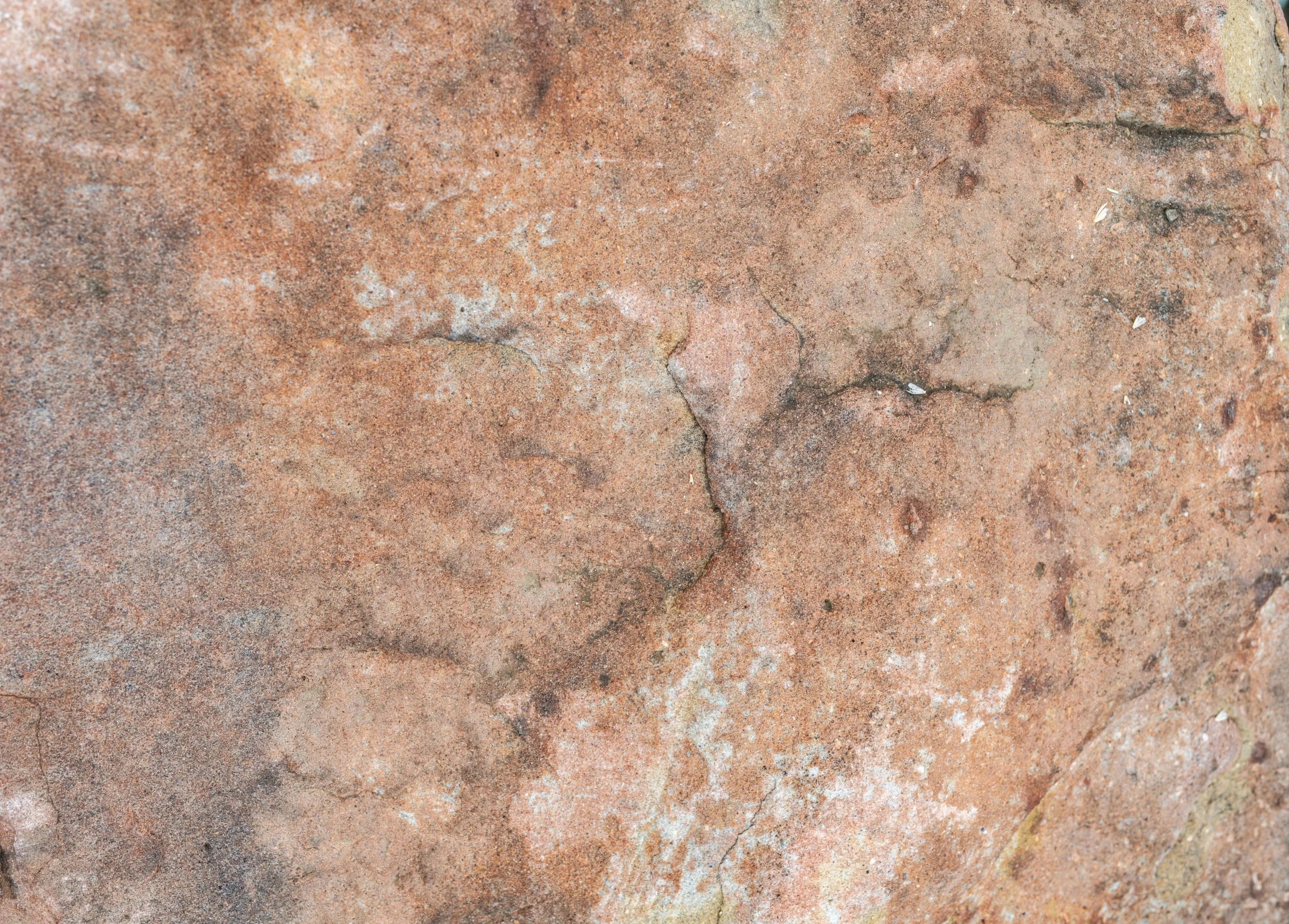 Close-up of a reddish-brown cracked rock or stone surface.