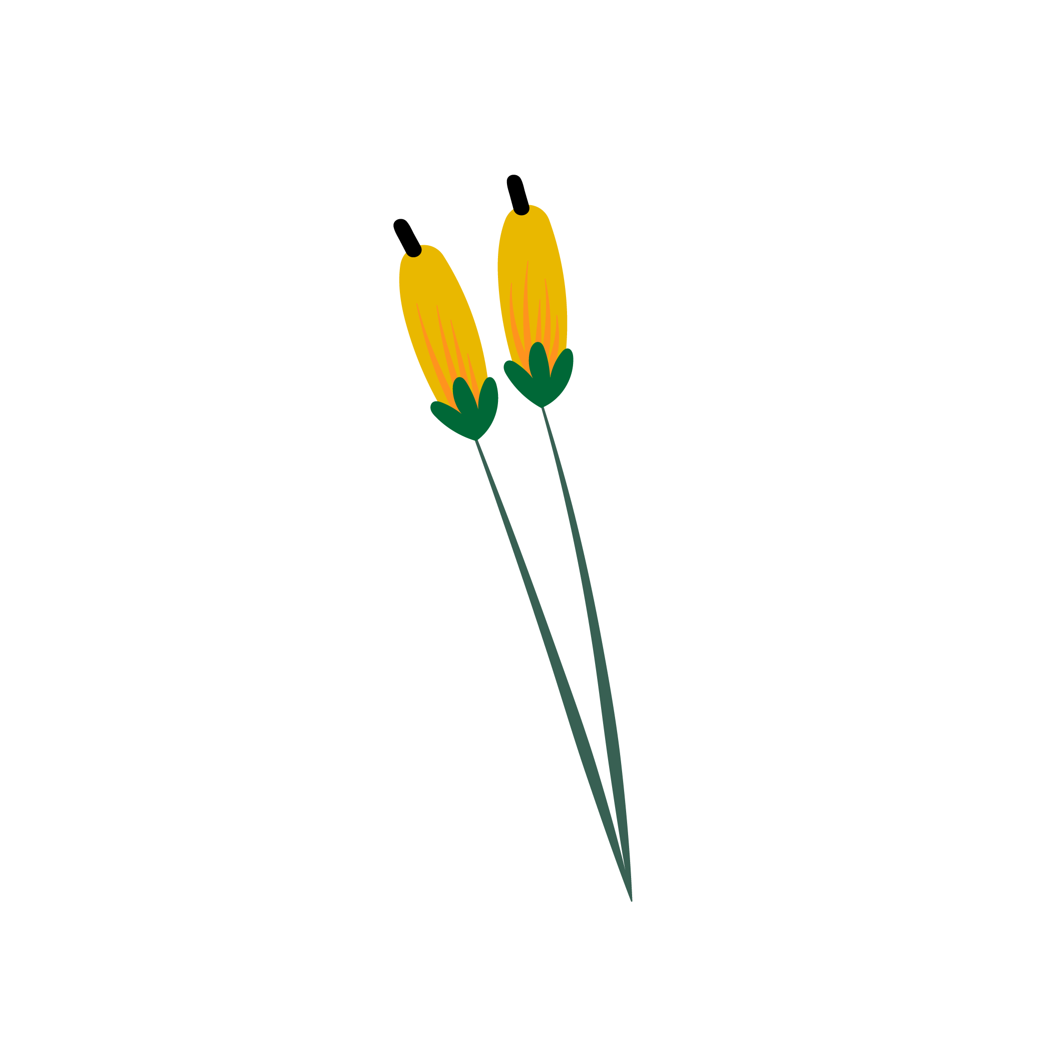 Illustration of two yellow closed flower buds with green stems and leaves on a black background.