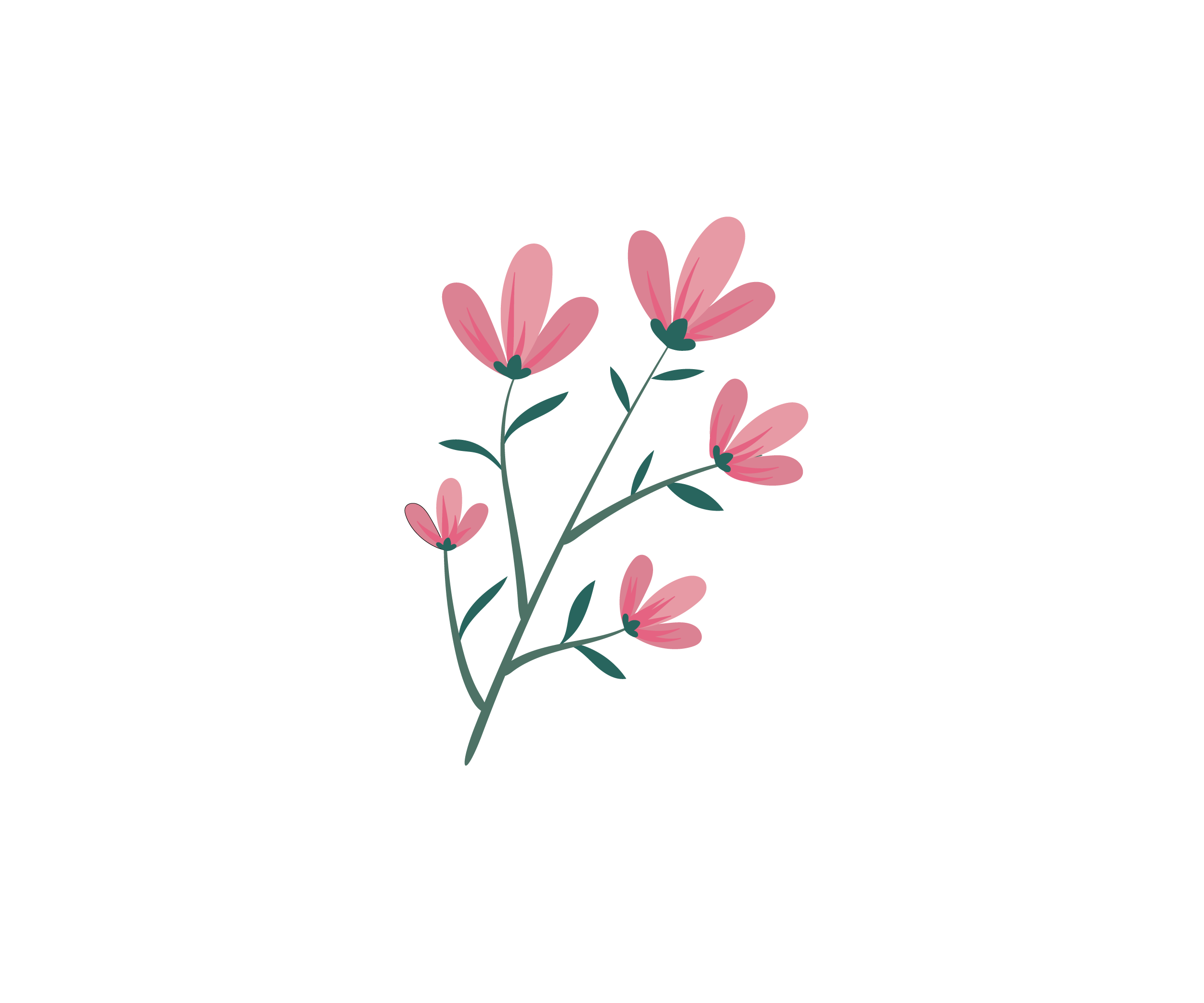 Illustration of a pink flower with green stems and leaves on a black background.