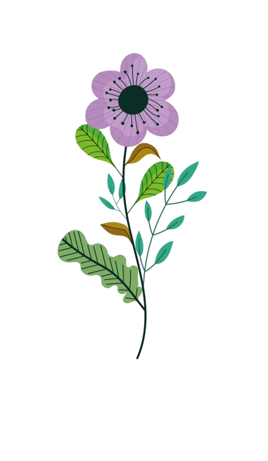 Illustration of a purple flower with green leaves on a dark stem