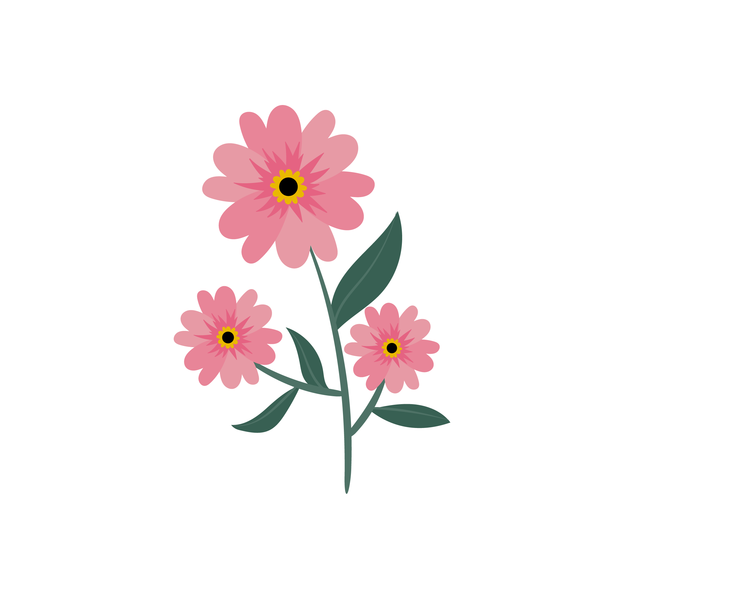 Illustration of three pink flowers with green leaves on a black background.