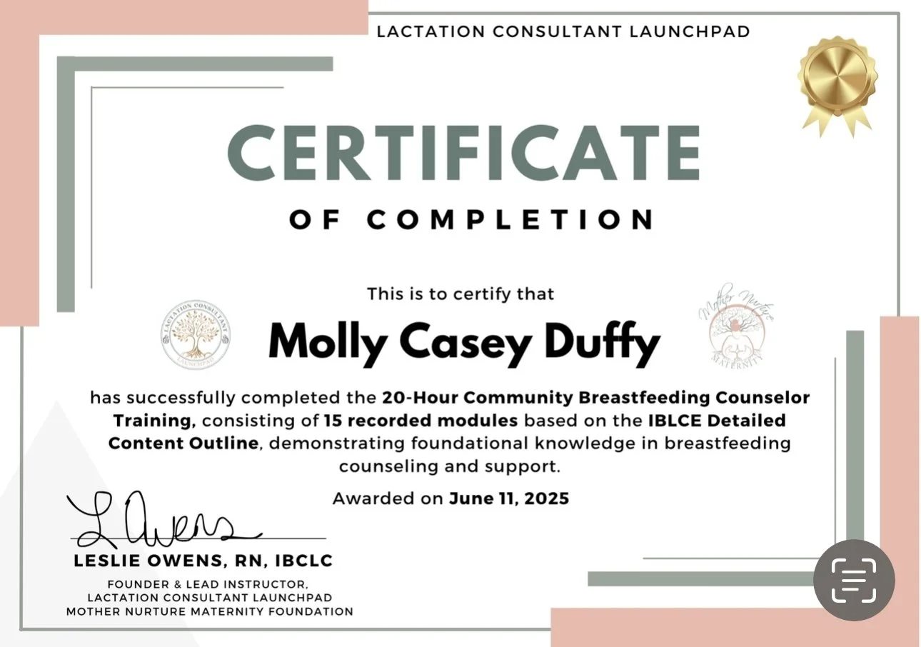 Certificate of completion awarded to Molly Casey Duffy for completing a 20-hour community breastfeeding counselor training, dated June 11, 2025, signed by Leslie Owens. The document features a gold seal at the top right corner and a logo with a tree on the left side.