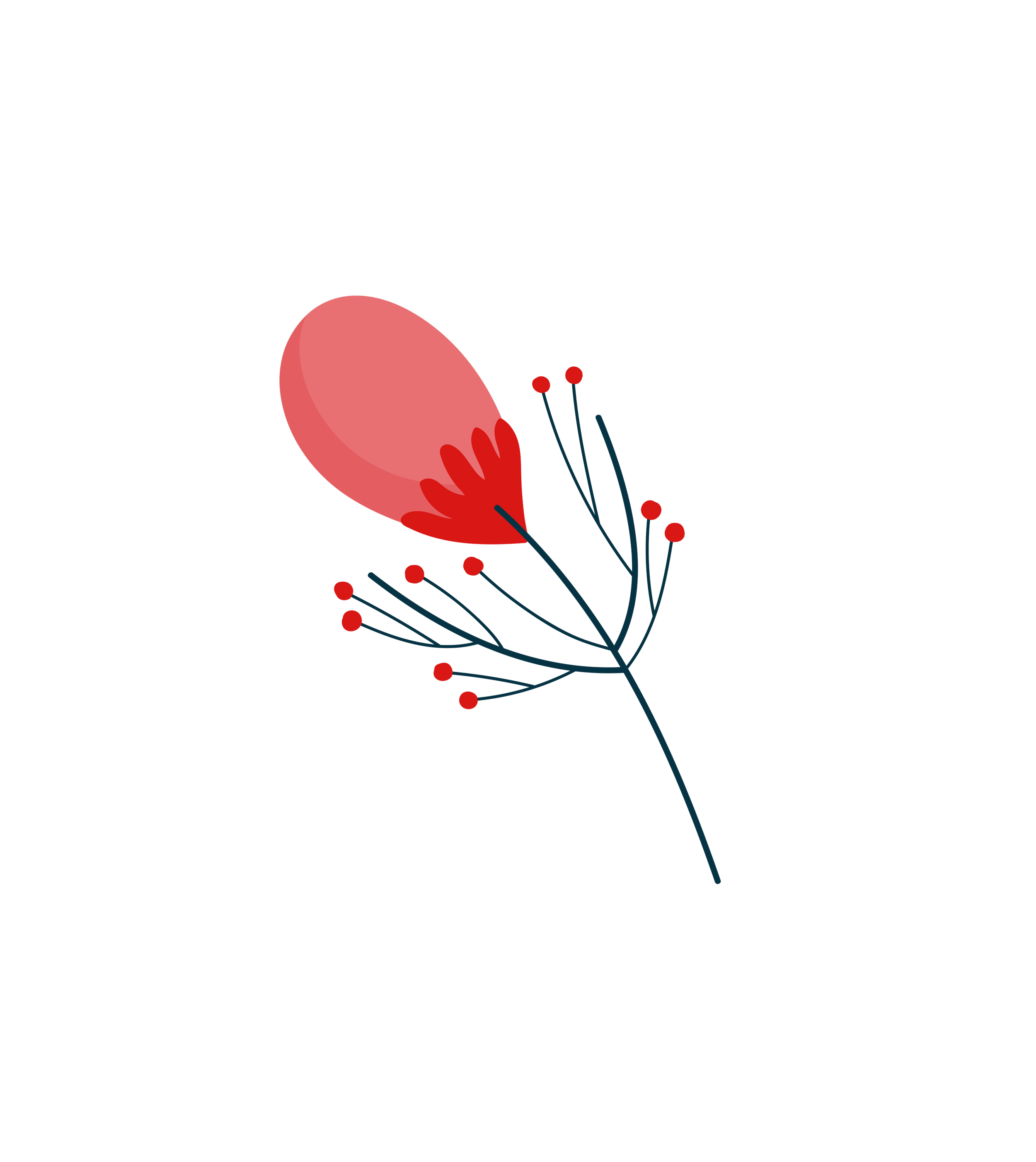 Illustration of a stylized red flower with round petals and small red berries on dark blue stems