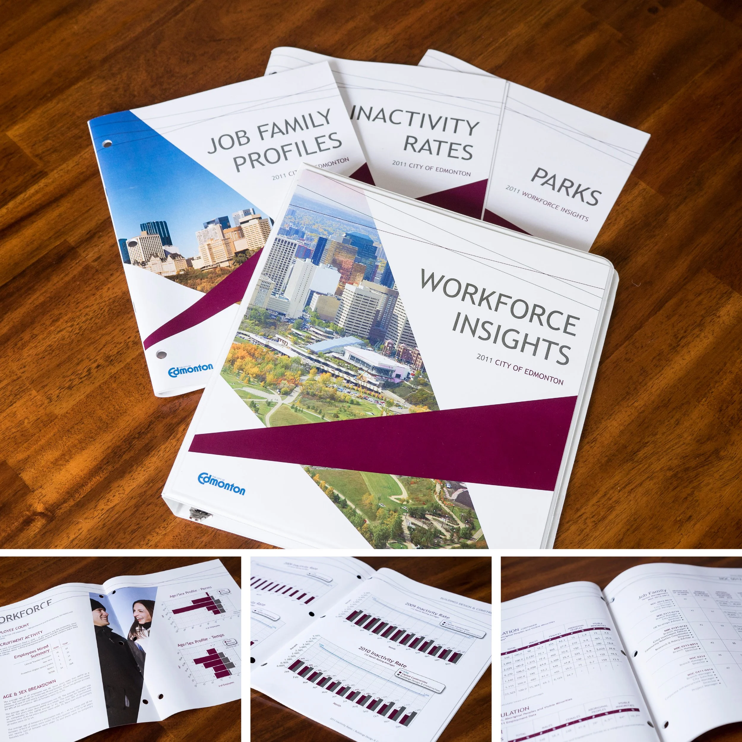 WorkforceInsights-Booklets.jpg