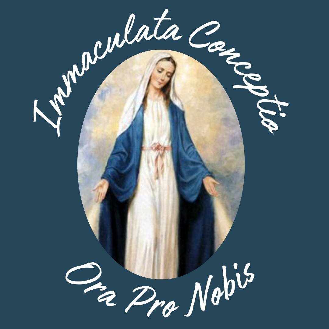 &quot;There is much evil in the world, but let us not forget that the Immaculata is more powerful yet. and that she will crush the infernal serpent's head.&quot; St. Maximilian Kolbe