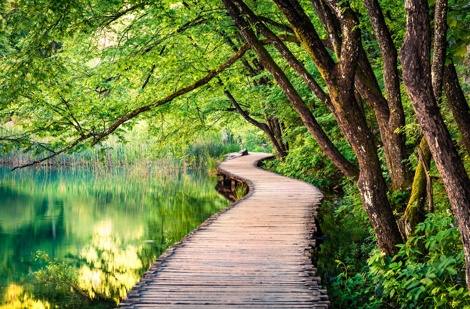 Narrow is the way