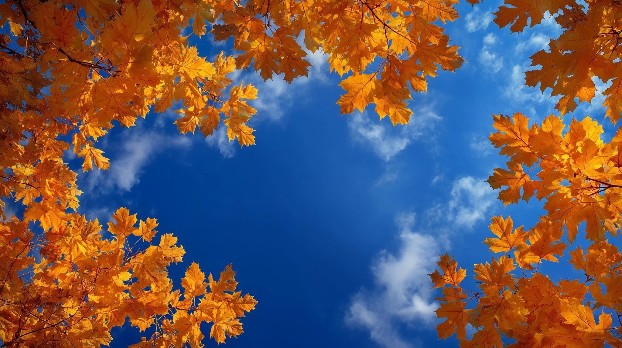 This weeks #photography #challenge is #natural #frames. #october is my #favorite #color.