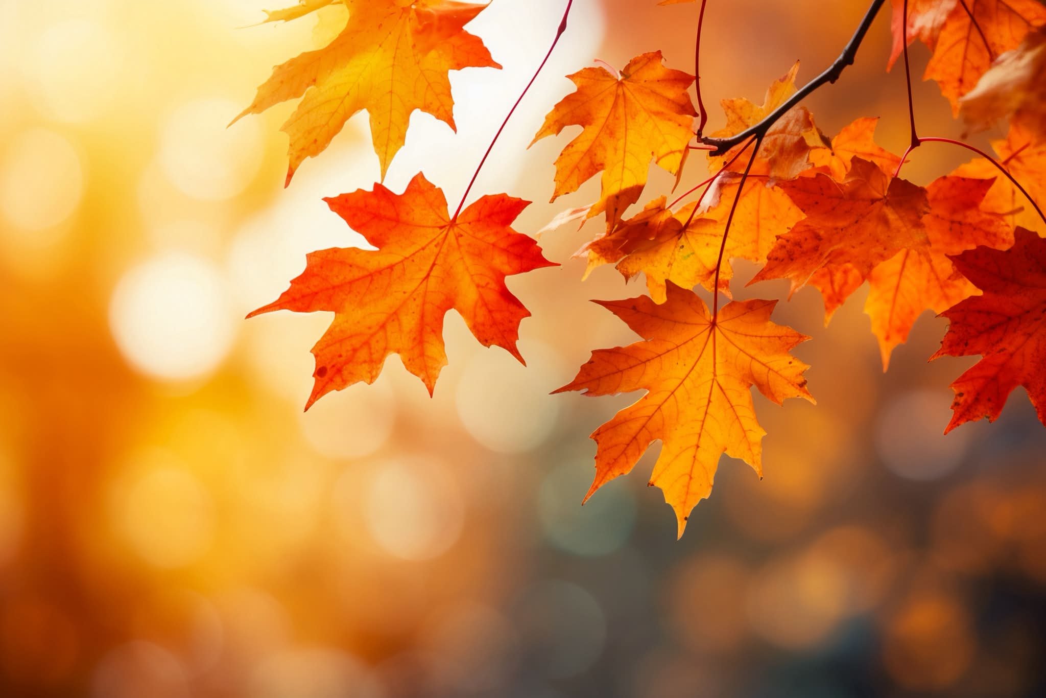 My favorite color is #october