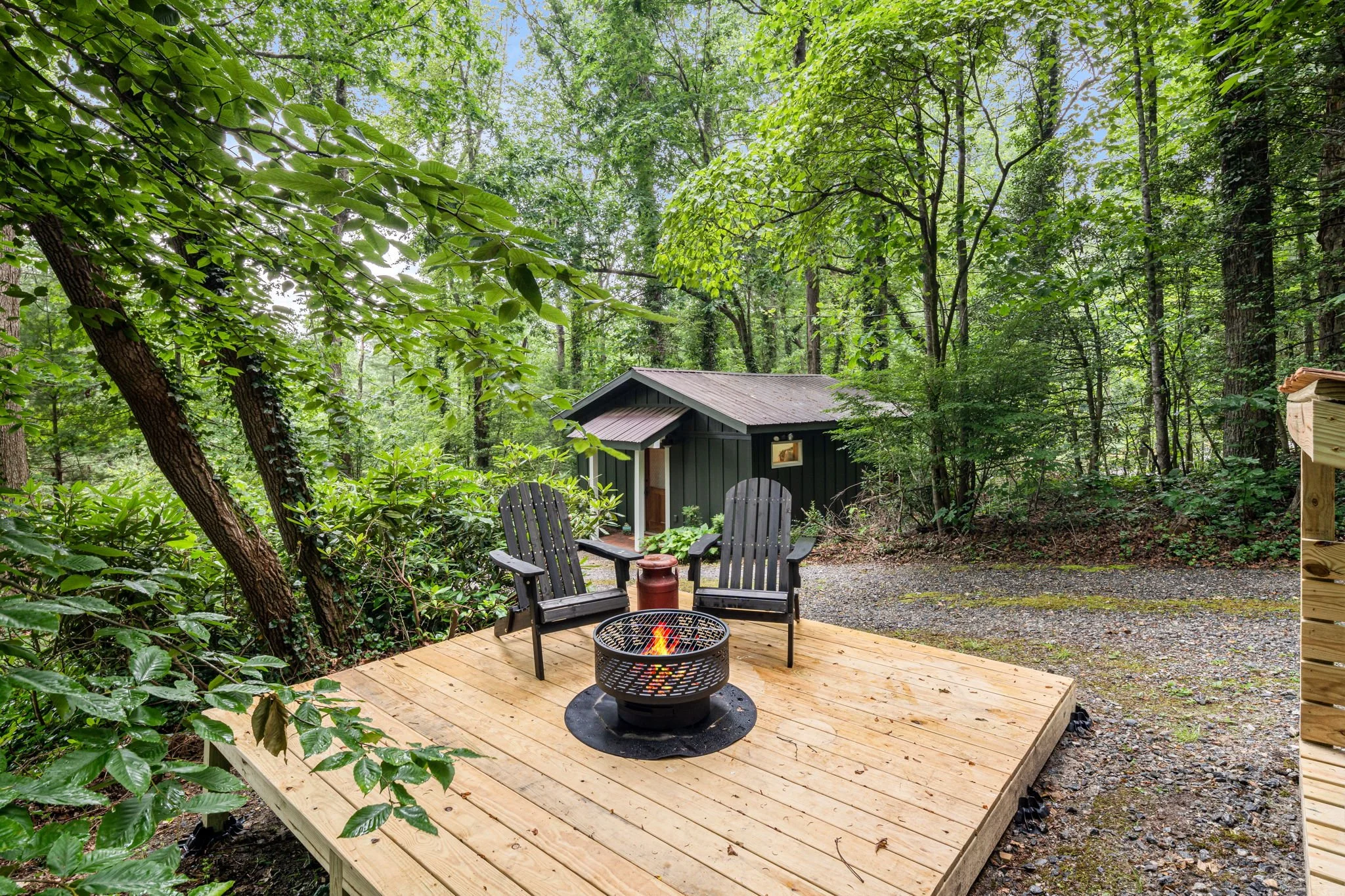 Resilience Road Cottage: Walk Downtown/Near Hiking