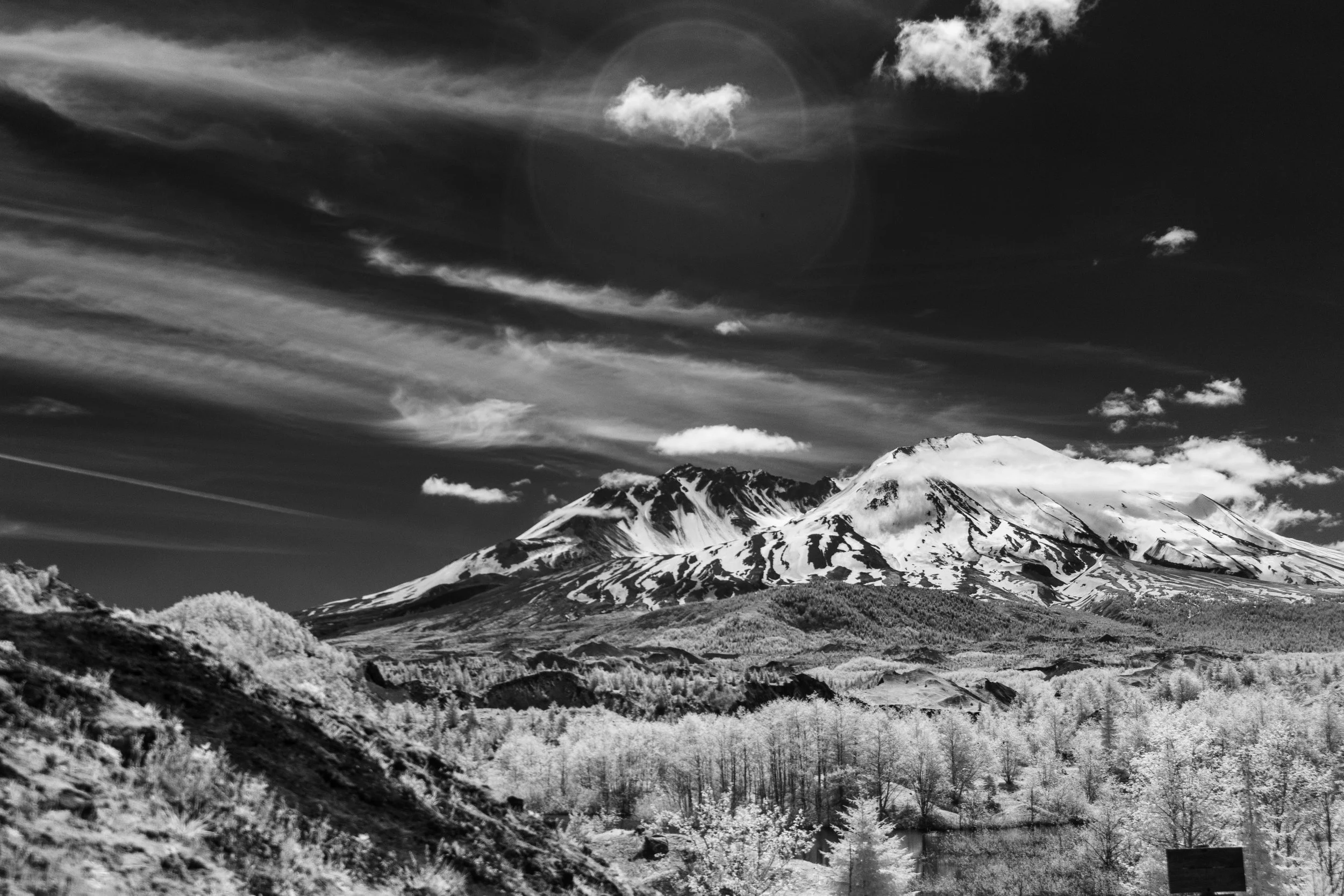 _MG_9056-Edit.jpg