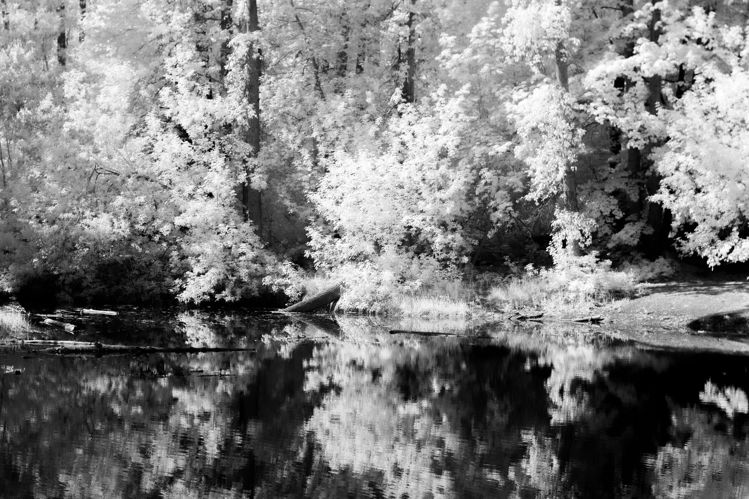 _MG_9760.jpg