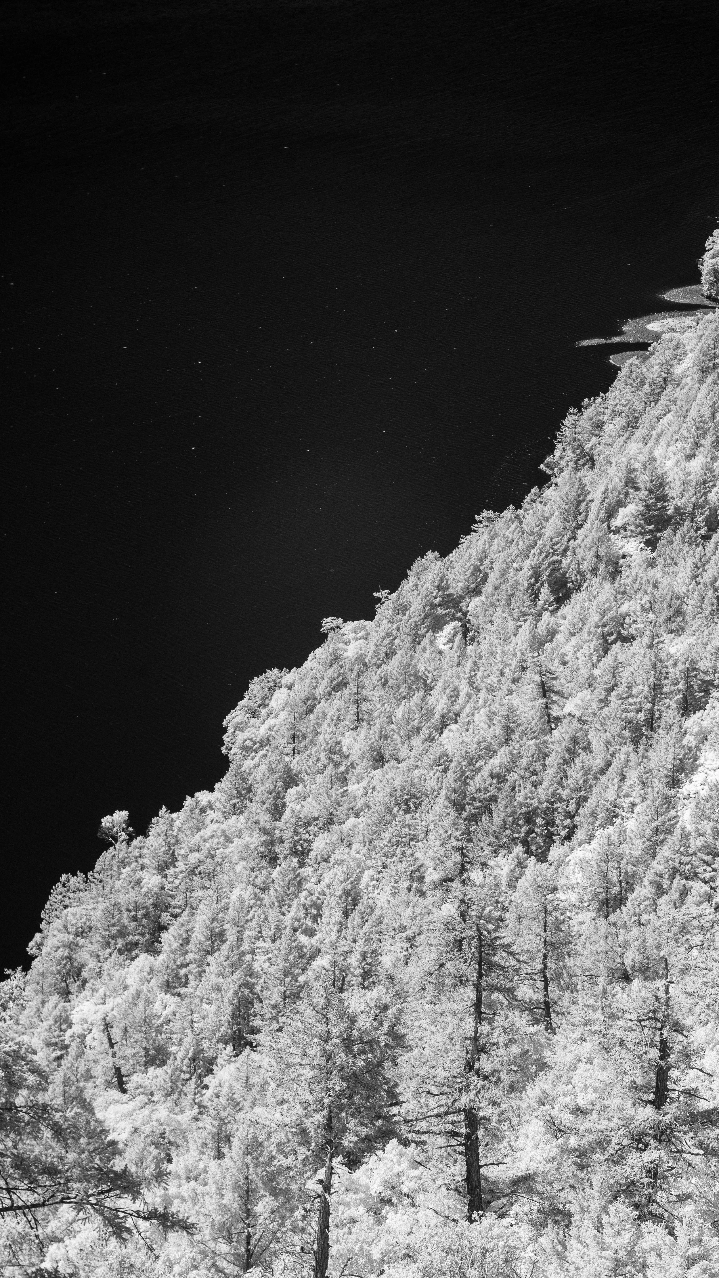 _MG_0247.jpg