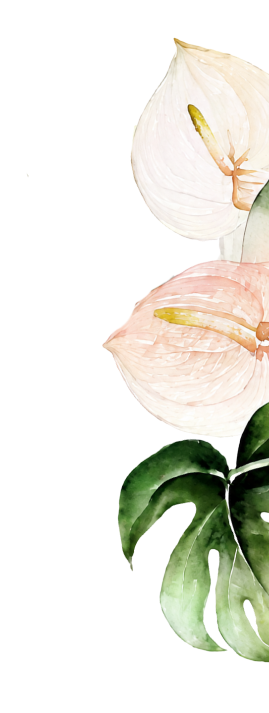 parallax-in-right