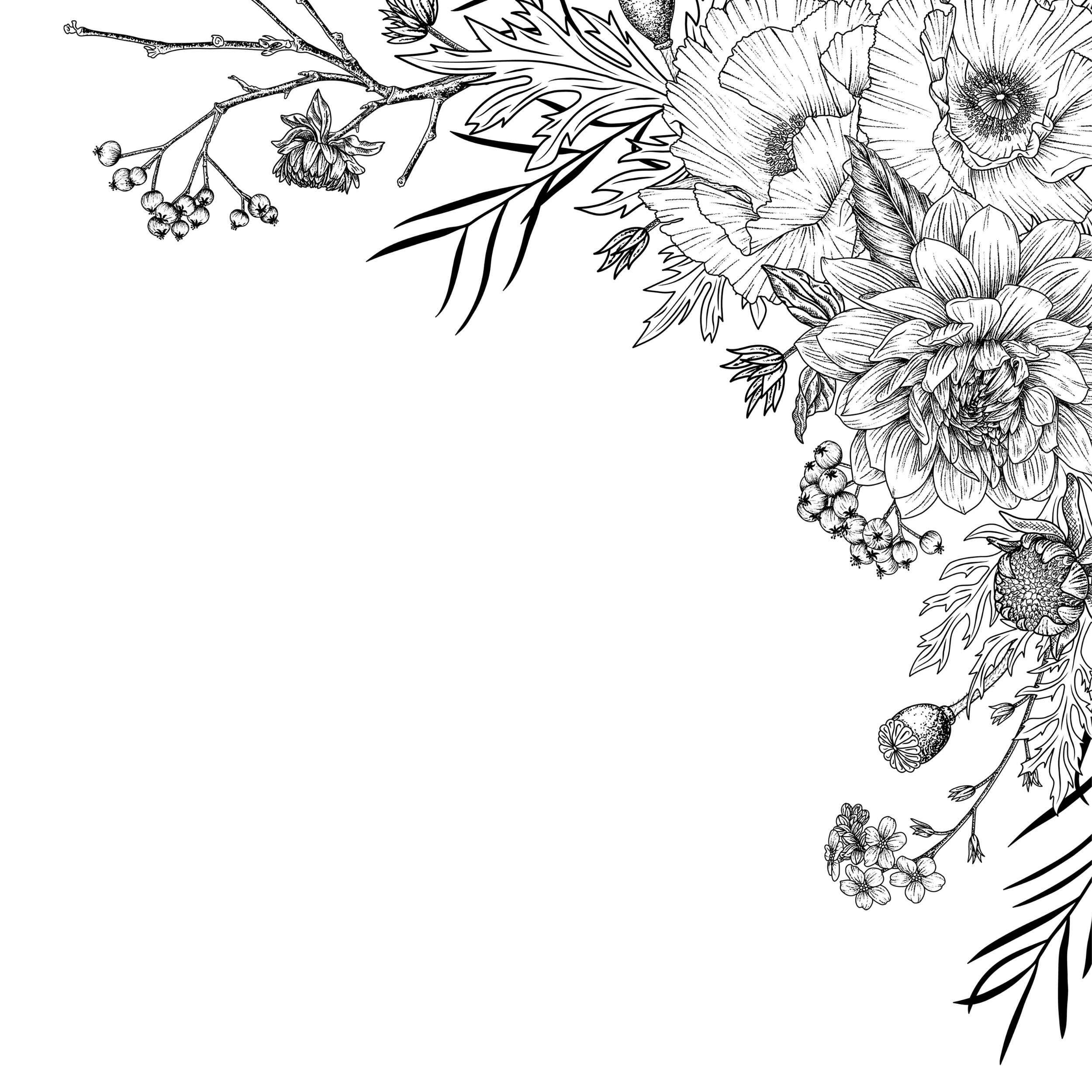 parallax-in-right