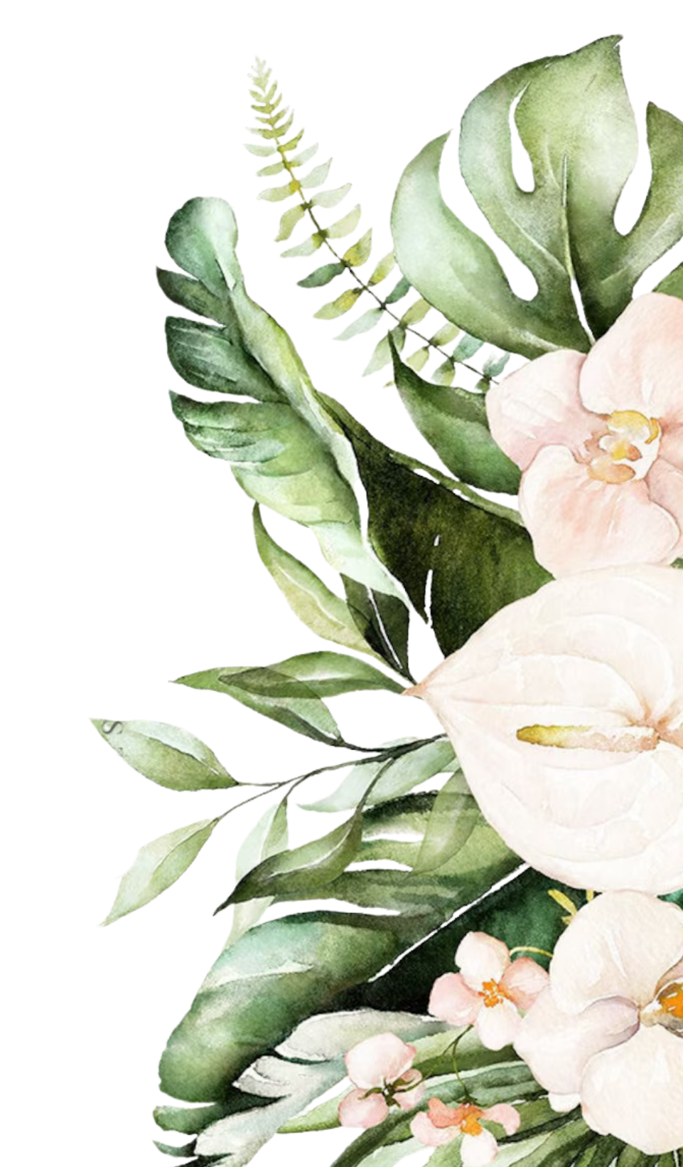 parallax-in-right