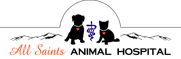 All Saints Animal Hospital