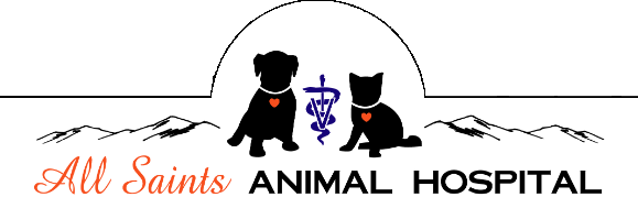 All Saints Animal Hospital